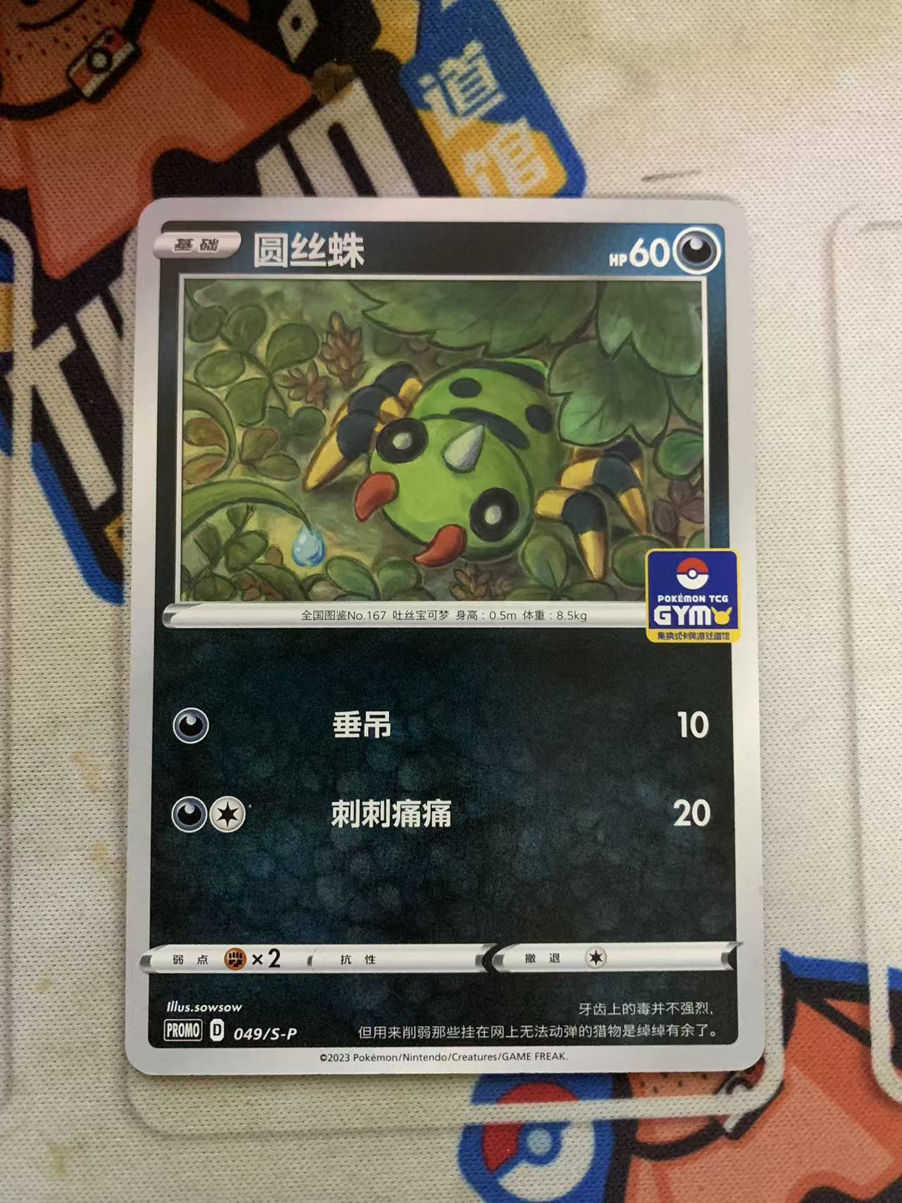 2024 Pokemon TCG 1 圆丝蛛 道馆包 chs 宝可梦 简中 木水拍卖第九十五期