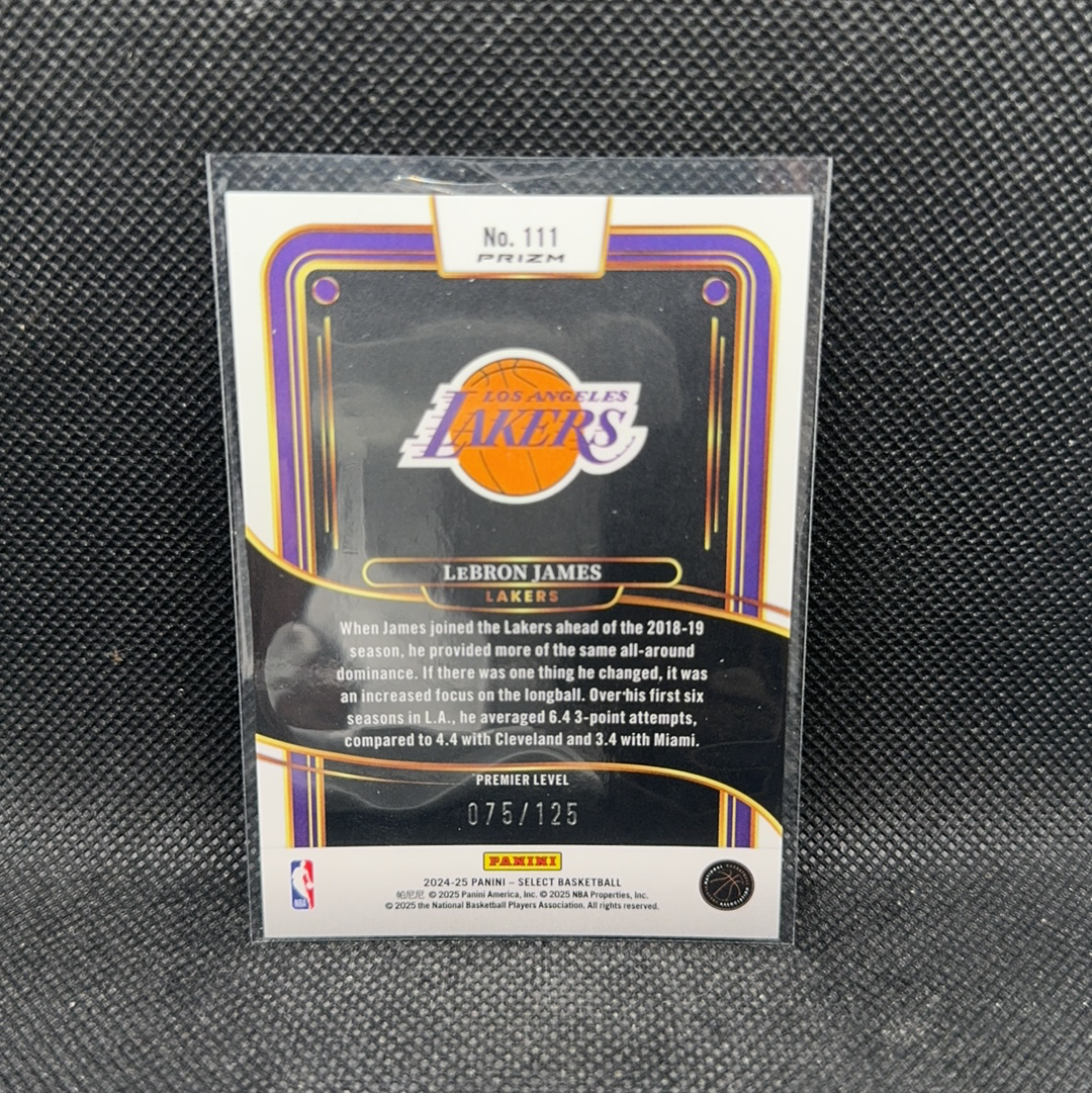 【Roseee代卖】2024-25 Panini Select LeBron James SE 湖人 勒布朗詹姆斯 125编 迷彩折 小权