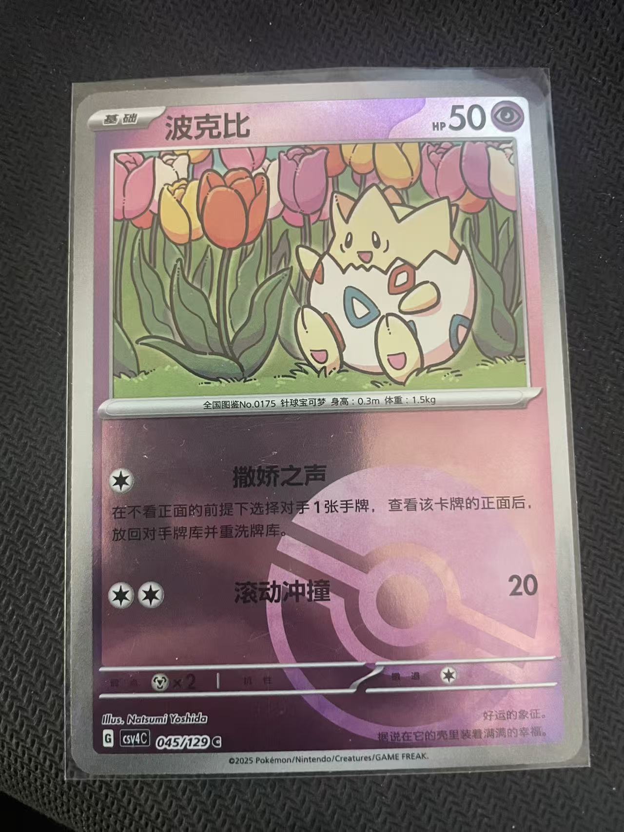 2024 Pokemon TCG 1 波克比 球闪 chs 宝可梦 简中 木水拍卖第二百三十五期