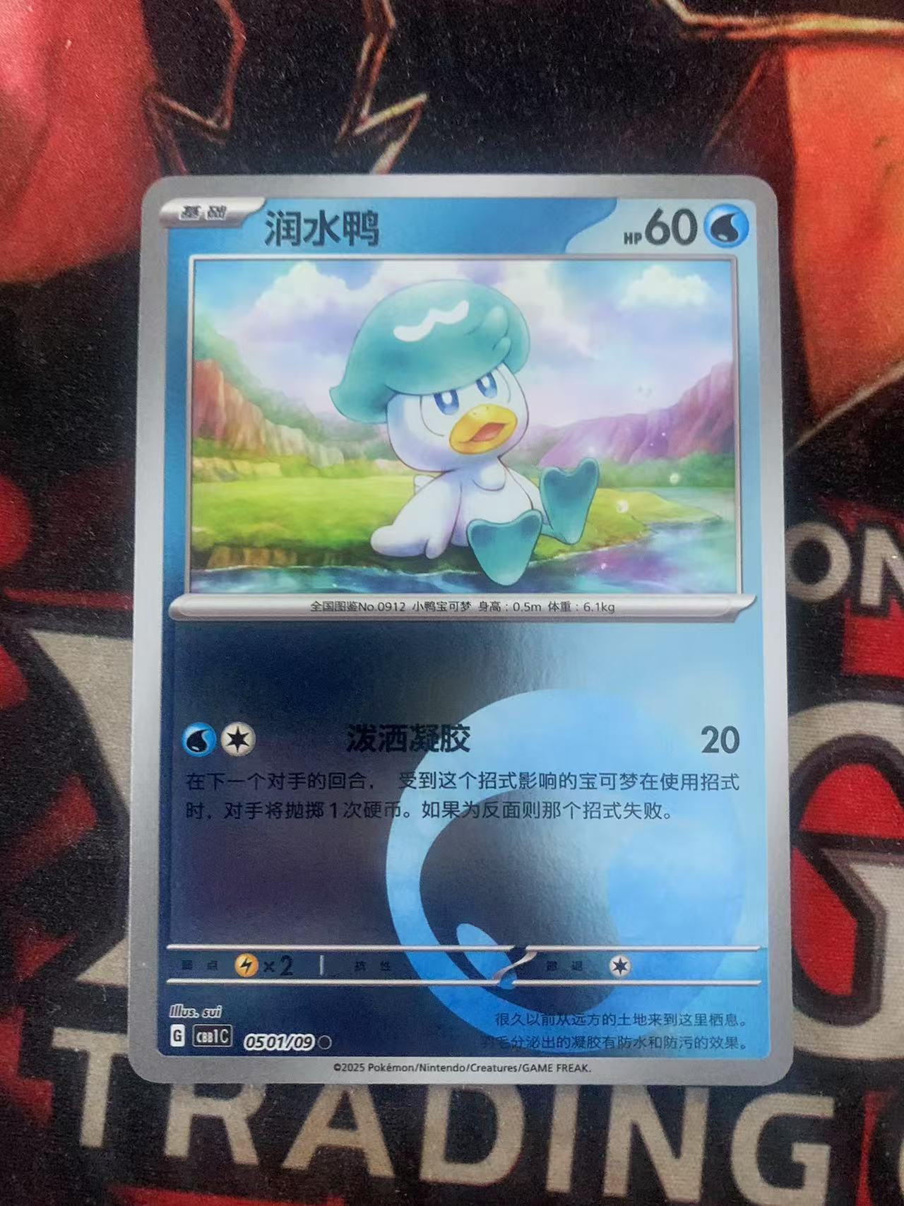 2024 Pokemon TCG 1 润水鸭 球闪 chs 宝可梦 简中 木水拍卖第一百七十九期