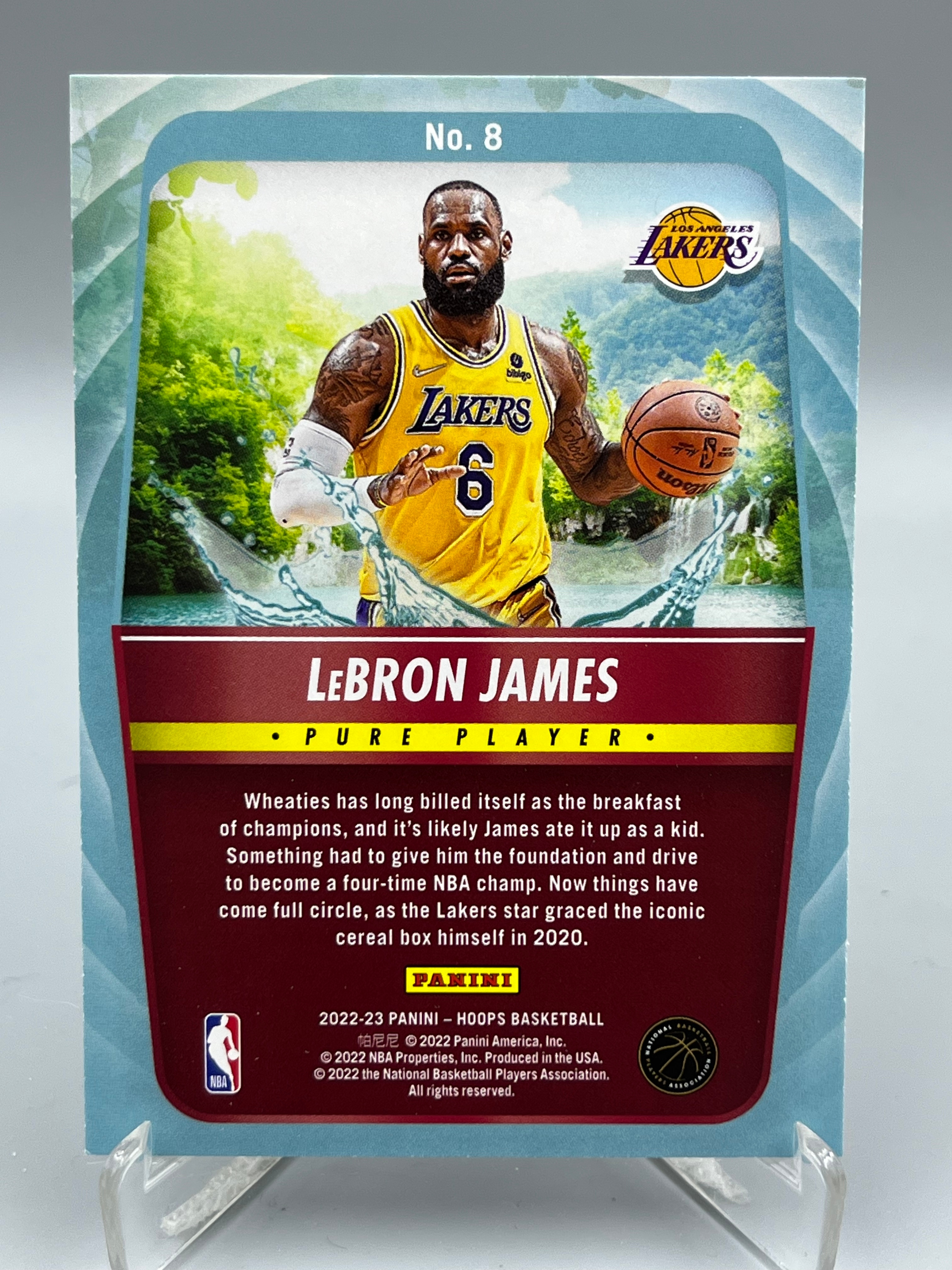 2022-23 Panini Hoops LeBron James NBA 勒布朗 詹姆斯 纯粹球员 特卡 美国 洛杉矶湖人队 老詹 小皇帝 收藏必备【暴富 巧儿】y