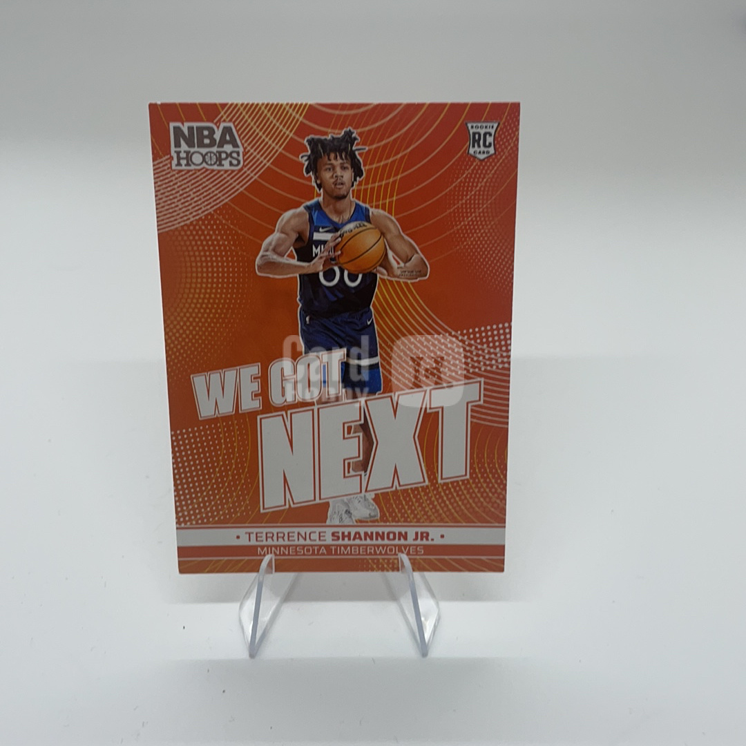 2024-25 Panini NBA Hoops Terrence Shannon Jr. RC 【顺丰速运 只合并不累计】nbahoops 卡品如图 c1