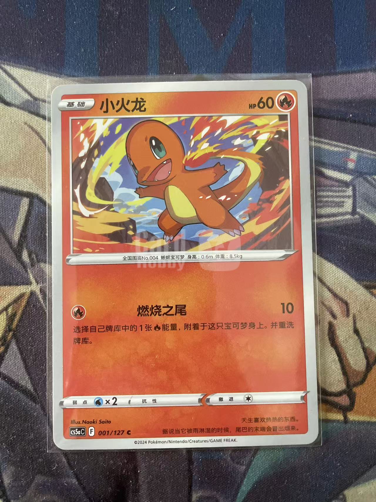 2024 Pokemon TCG 1 小火龙 chs 宝可梦 简中 木水拍卖 93
