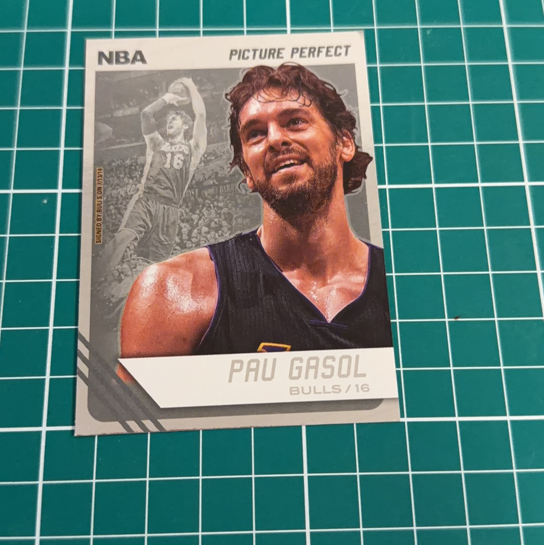 2014-15 Panini Americana Pau Gasol S.p.a.保罗加索尔 大加索尔 加嫂 大头 闪卡特卡 精美选图 十年老卡 绝版卡 稀有大比例