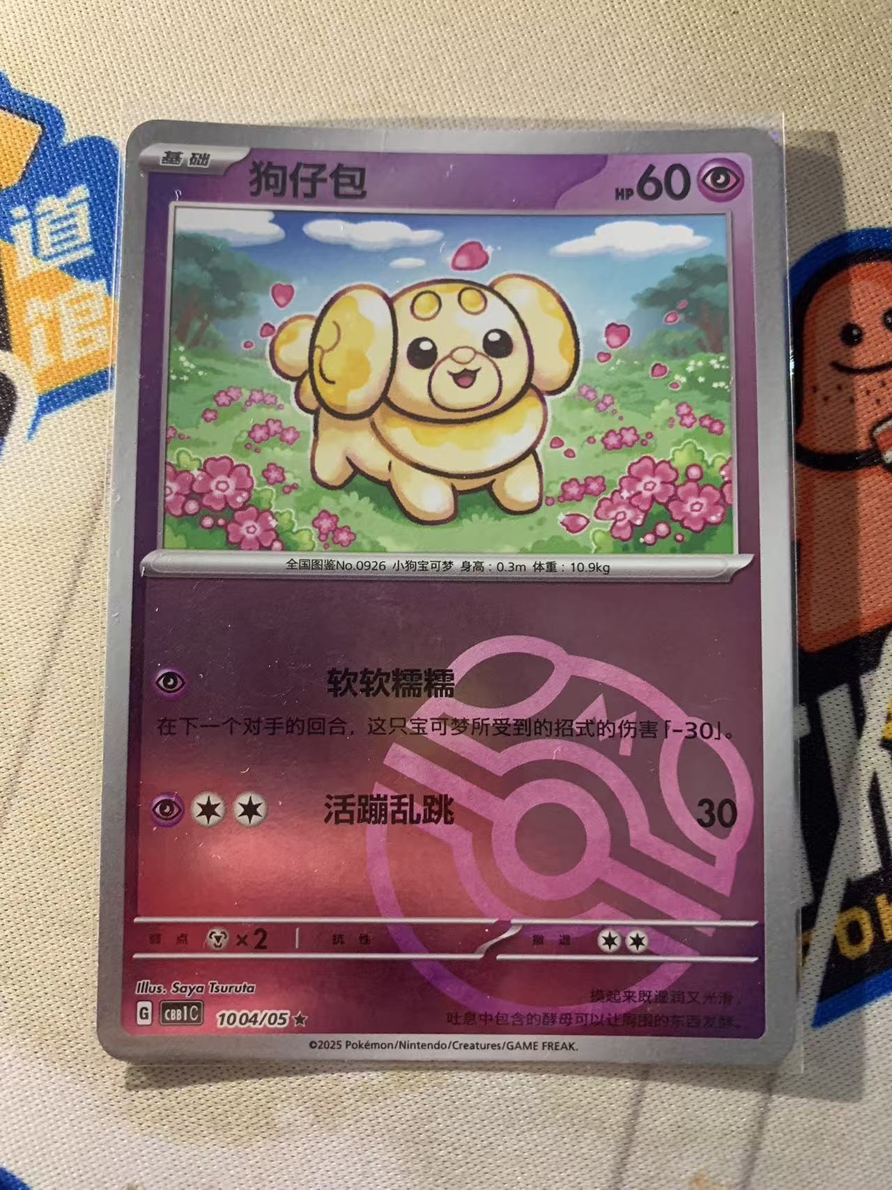 2024 Pokemon TCG 1 狗仔包 大师球闪 chs 宝可梦 简中 木水拍卖第二百二十九期