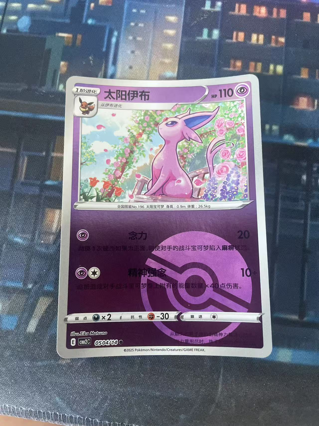 2024 Pokemon TCG 1 太阳伊布 球闪 chs 宝可梦 简中 木水拍卖第二百十一期