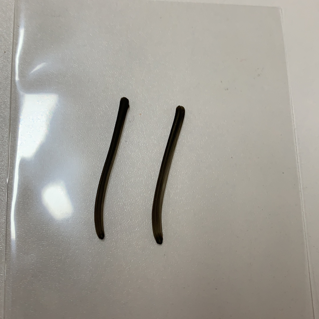 【DC拍卖】11.20. CR7 经典高端系列LOT6 2012-13 PANINI KOBE ANTHOLOGY kobe 名人堂传奇巨星 湖人王朝领军人物 黑曼巴 科比 布莱恩特 凑套必备