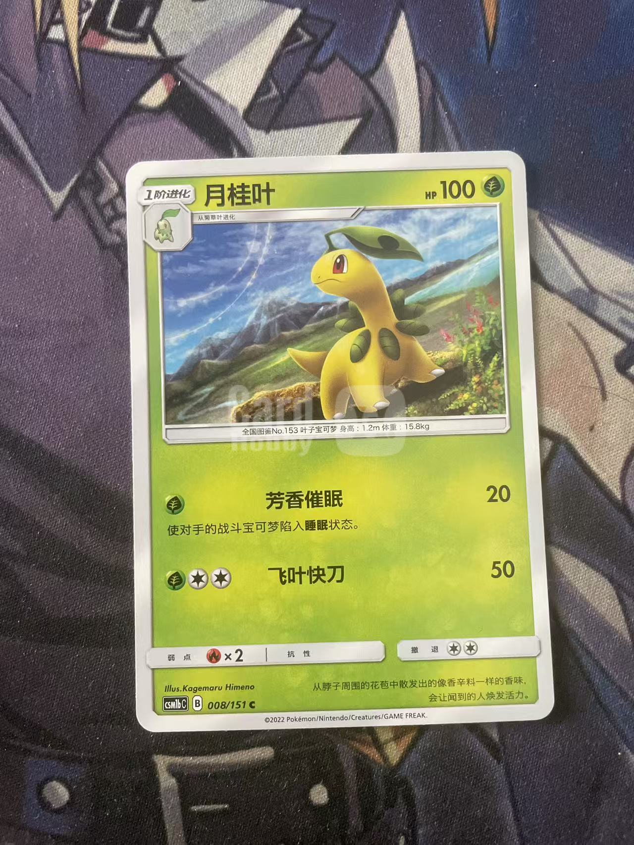 2024 Pokemon TCG 1 月桂叶 有白角 chs 宝可梦 简中 木水拍卖 235