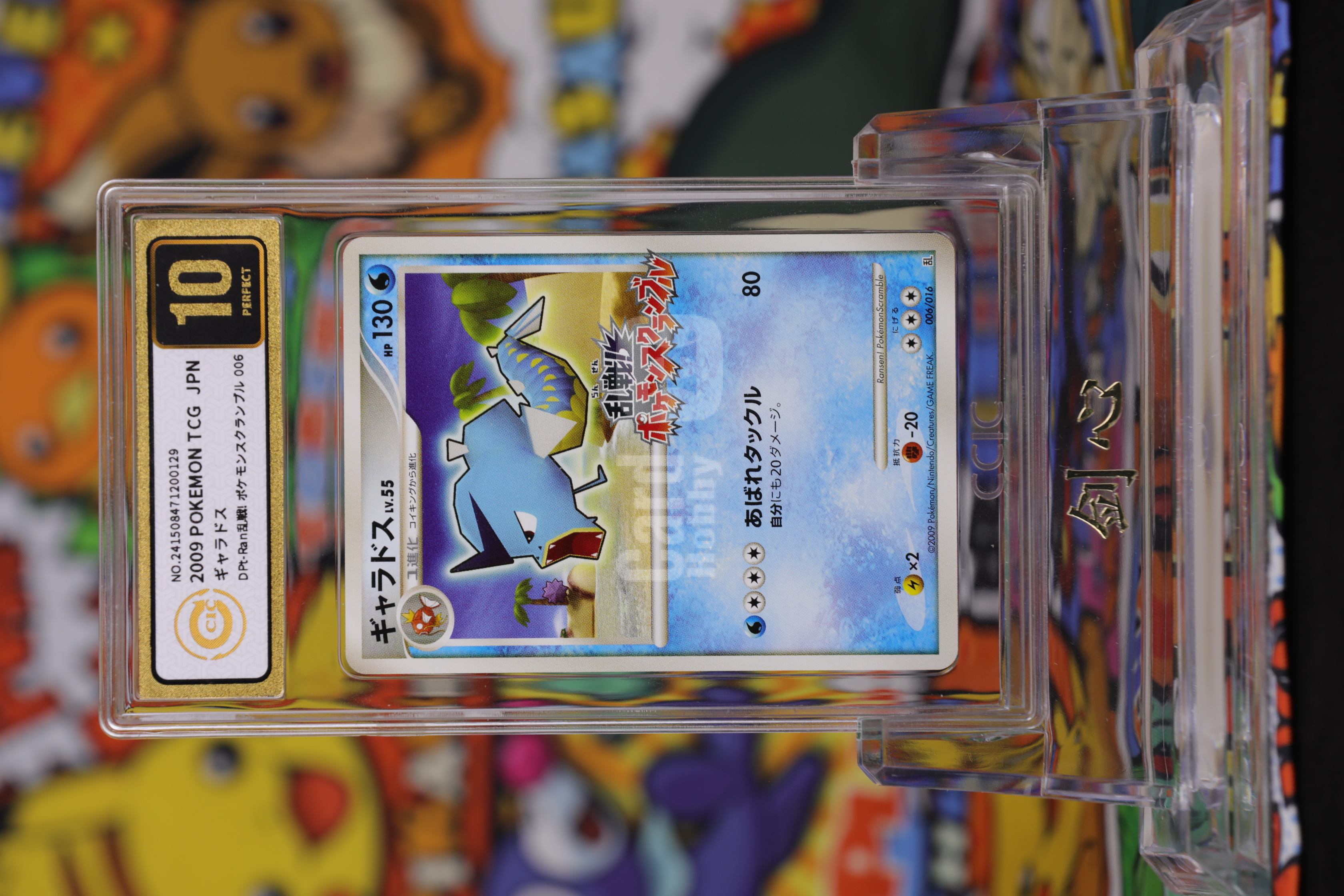 2009 Pokemon TCG 乱战 暴鲤龙 ja 乱战系列 #006 CCIC 金10 卡品如图 《剑心代卖》 JXDM LWF
