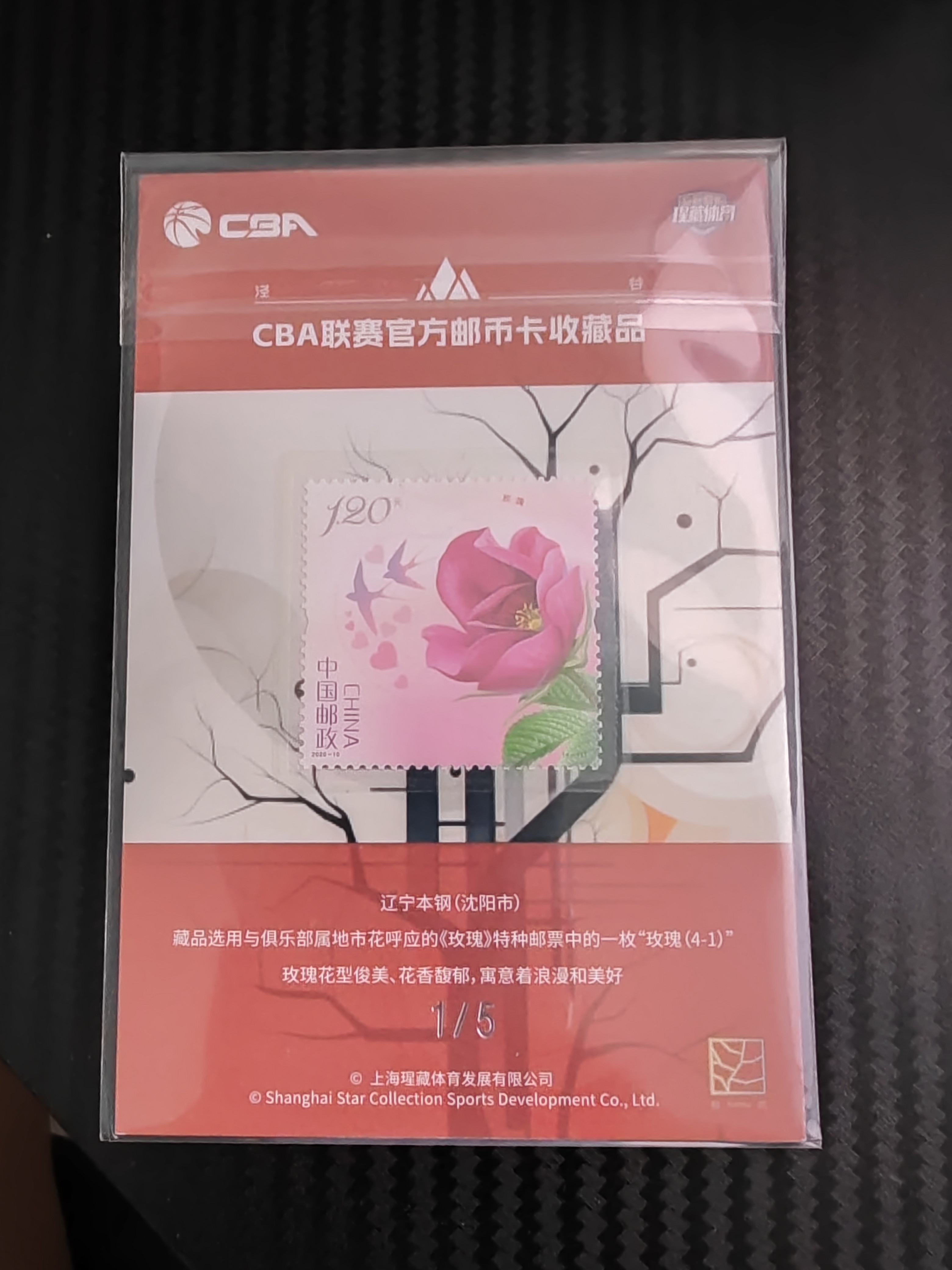 2023-24 上海瑆藏体育 泾谷系列 付豪 2023-24 上海瑆藏体育 泾谷系列 付豪 红格子签字 1/5 卡品如图 收藏必备