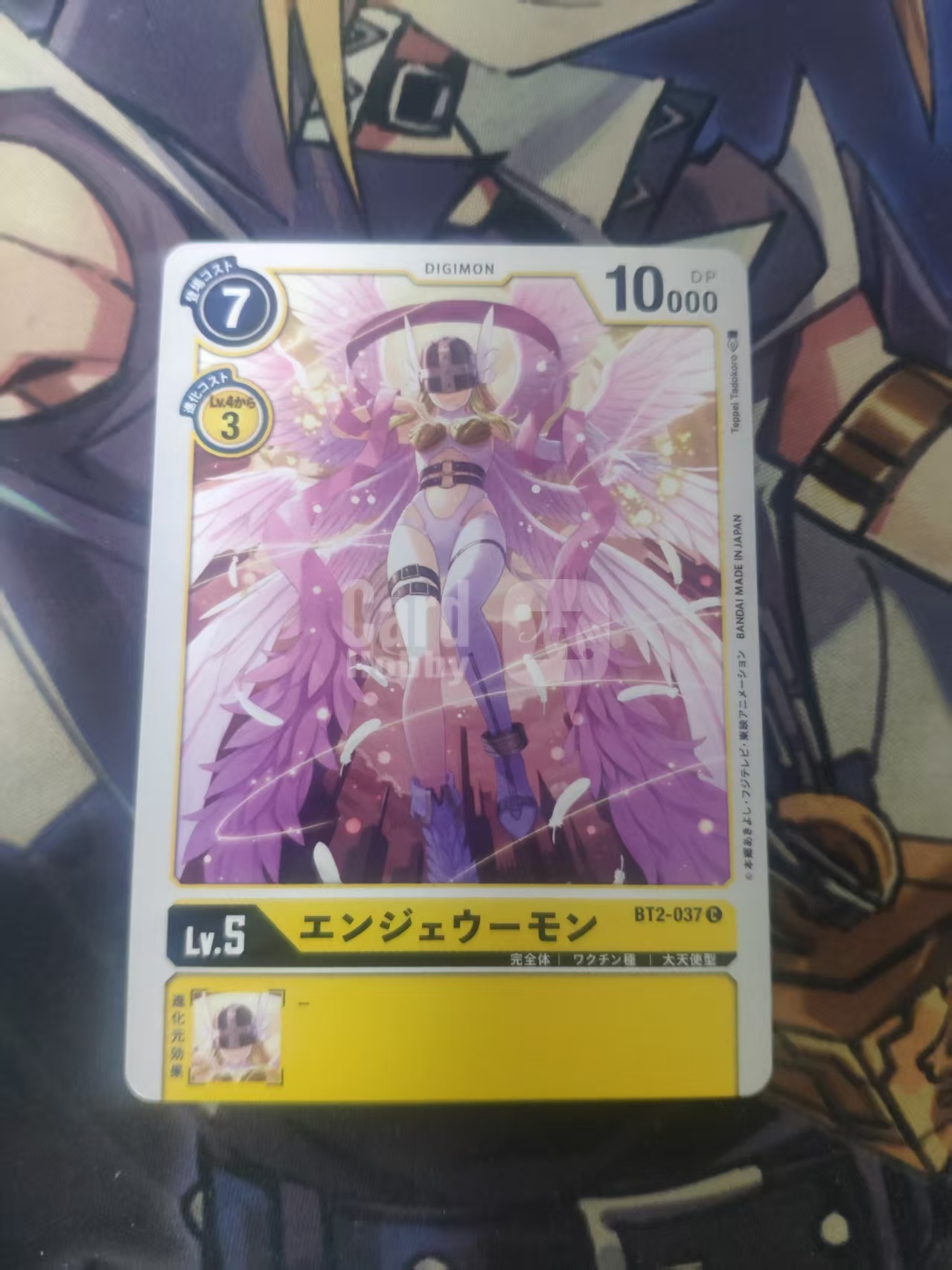2014 dtcg 1 天使兽 数码宝贝 ja 日文 木水拍卖 117
