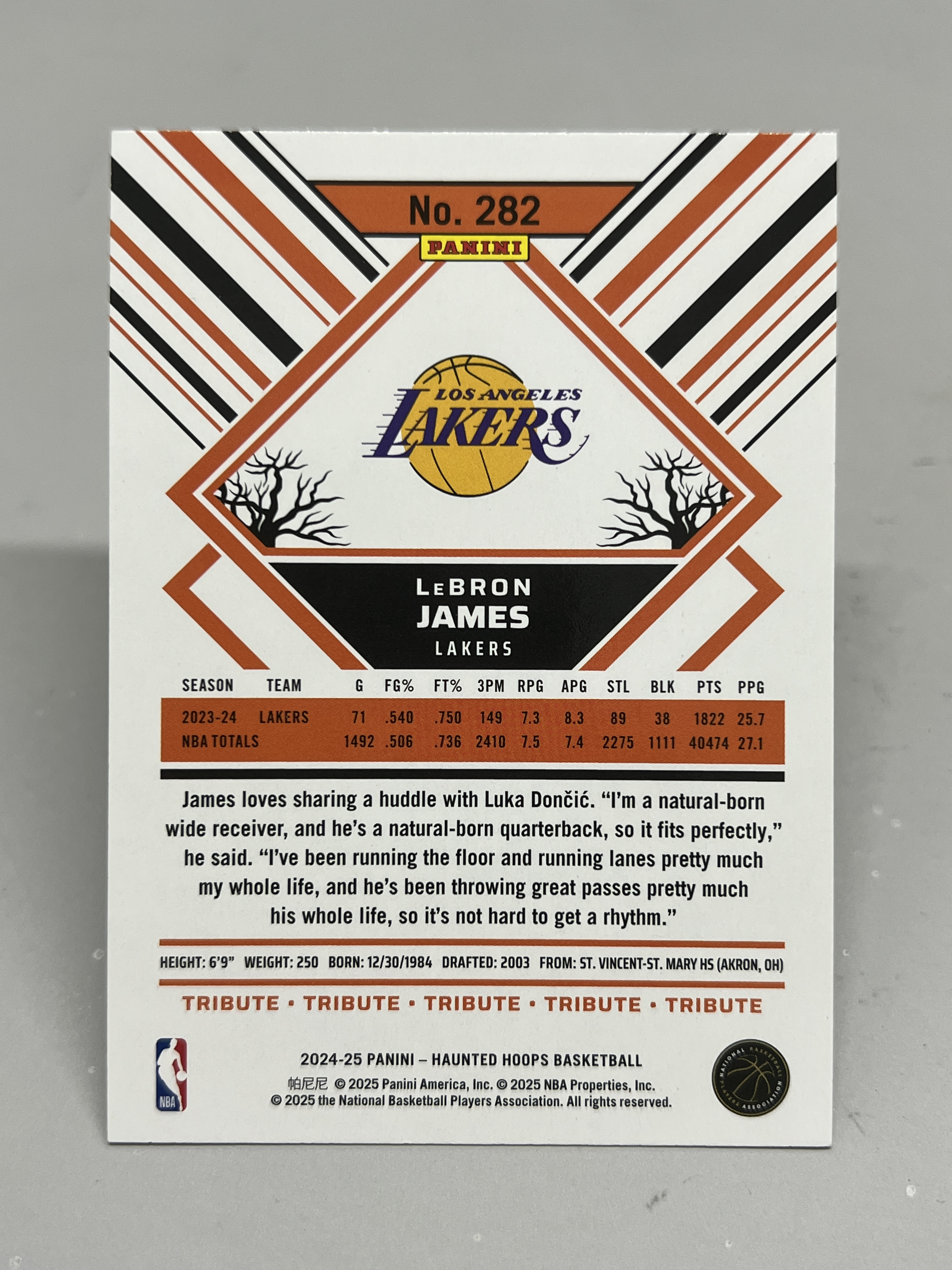 2024-25 Panini Haunted Hoops LeBron James【挂机拍卖】帕尼尼 万圣节 詹姆斯 小皇帝 湖人 #282 收藏 凑套 卡品如图