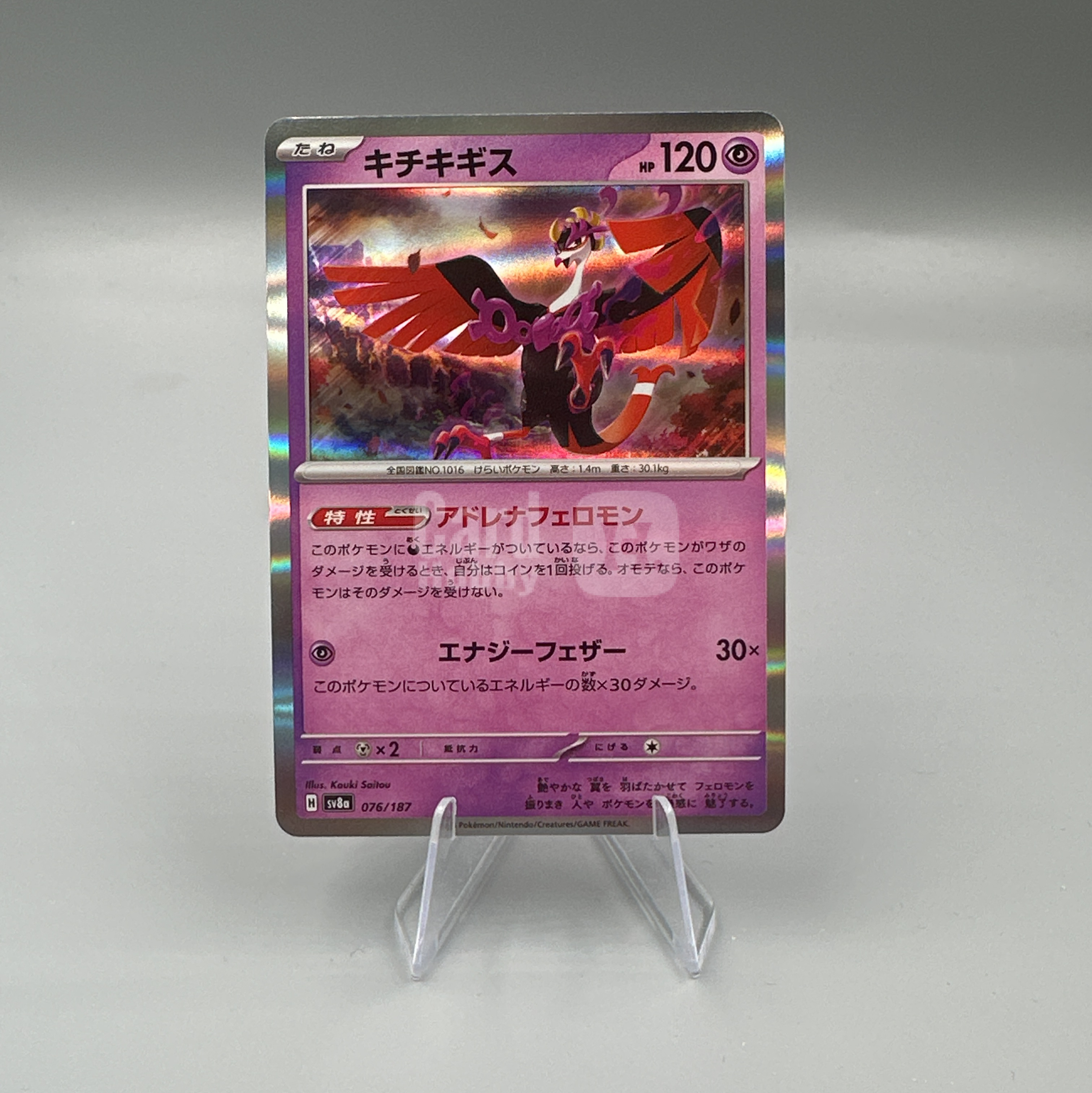 2024 Pokemon TCG 太晶盛典ex 吉雉鸡 ja 麦丰TCG 宝可梦 日版 太晶盛典ex SV8a-076/187 全图闪  图图