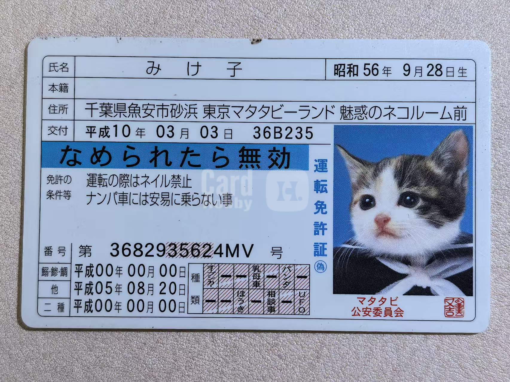 SATORU TSUDA 津田悟 日版 “被舔即失效” 猫咪驾驶执照 三毛子 默认有瑕 卡品如图