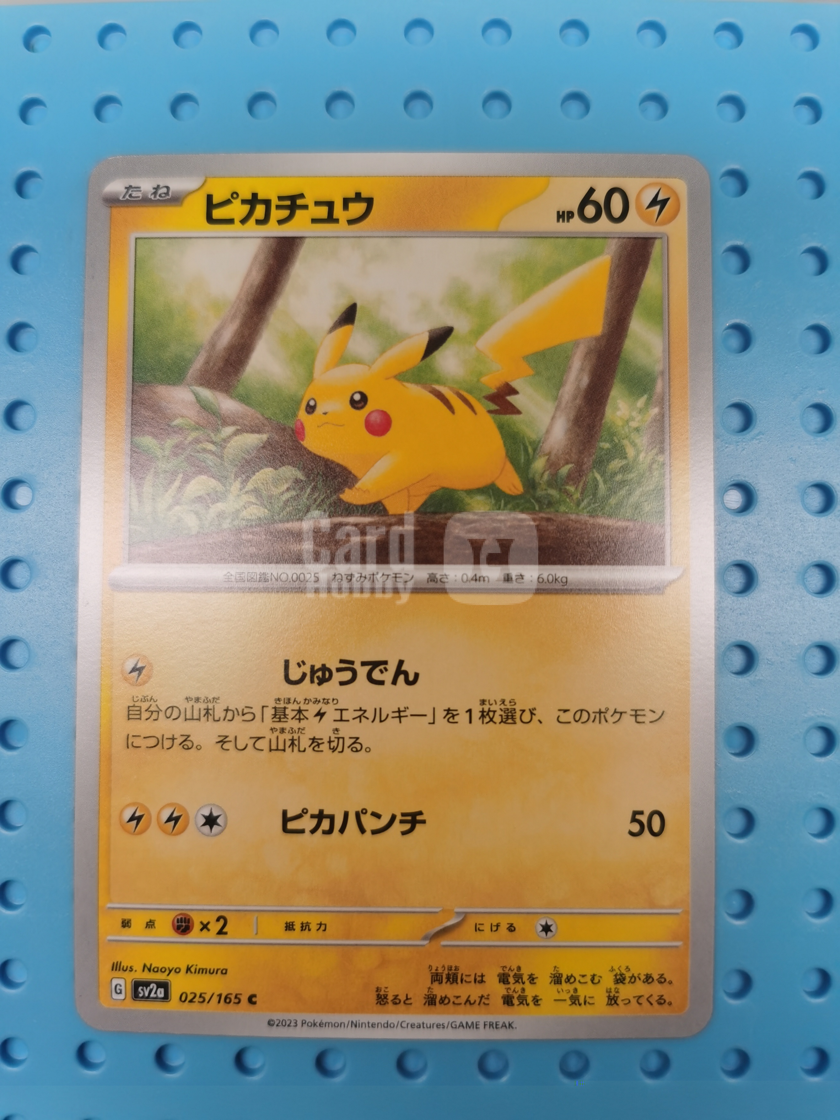 2023 Pokemon TCG PTCG 宝可梦 日版 ja 宝可梦卡151 皮卡丘 025/165 C 专收必备 卡品具体如图 拍前细看备注
