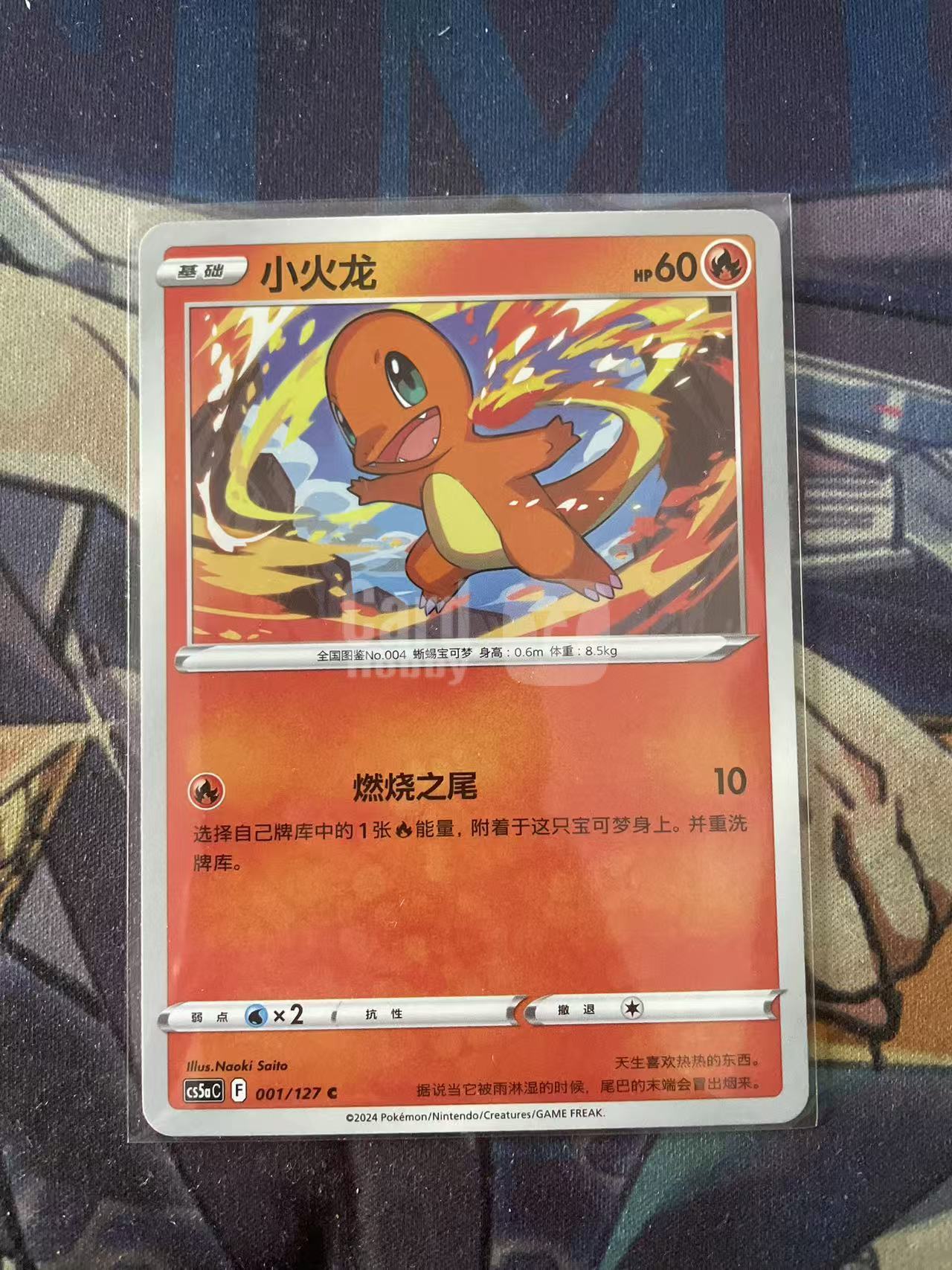 2024 Pokemon TCG 1 小火龙 chs 宝可梦 简中 木水拍卖 93