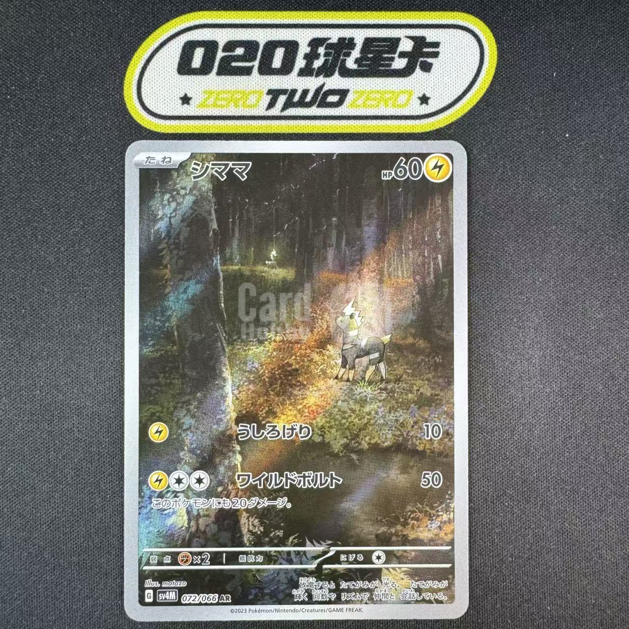 2023 Pokemon TCG 未来的一闪 斑斑马 ja 日版 宝可梦 SV4M 072/066 AR 闪卡 全图闪 微瑕如图 #FCARD