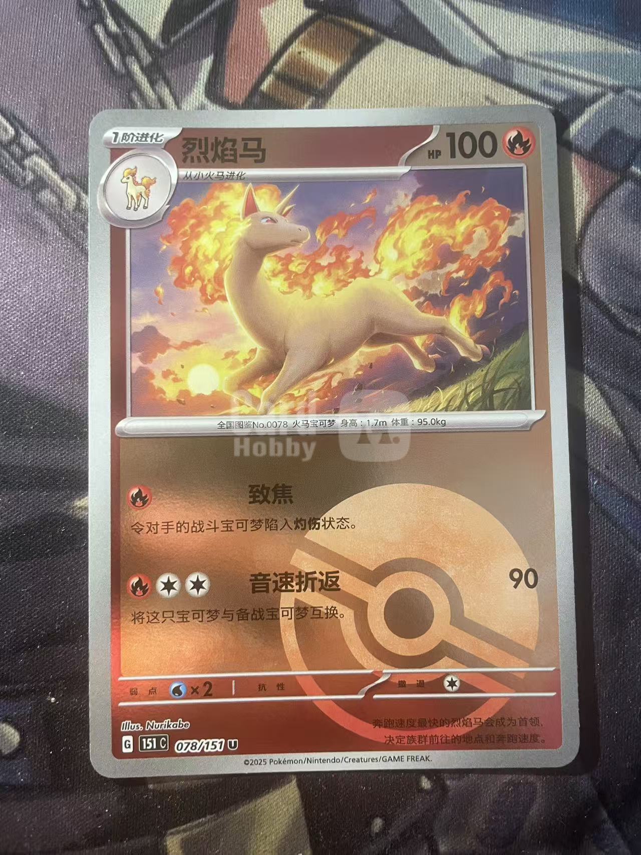 2025 Pokemon TCG 1 烈焰马 球闪 151 chs 宝可梦 简中 木水拍卖 爱国者