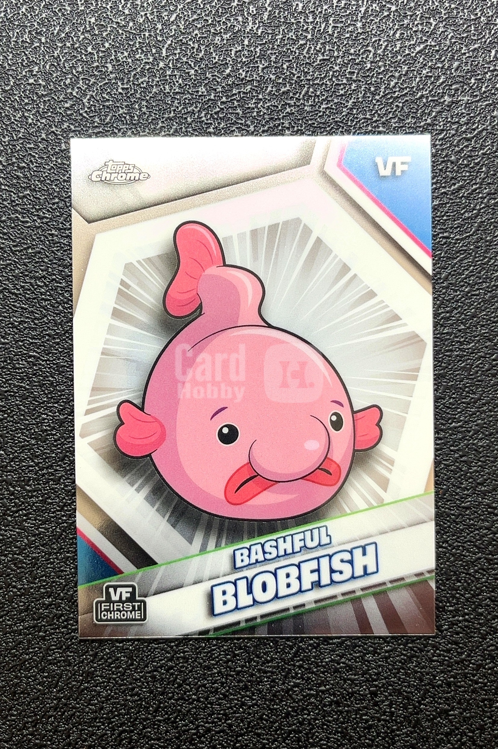 【岛屿拍卖】2024 Topps Chrome First Chrome 首版 Bashful Blobfish 憨态可掬的水滴鱼 卡品如图 高价值 #29 0009#160