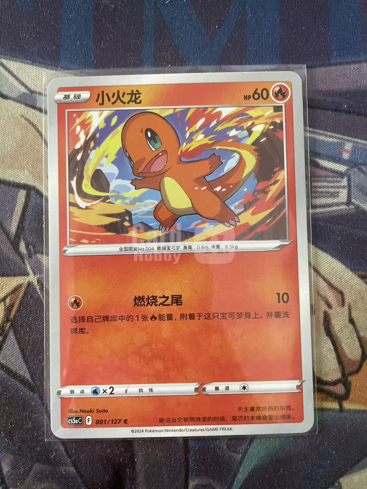 2024 Pokemon TCG 1 小火龙 chs 宝可梦 简中 木水拍卖 93