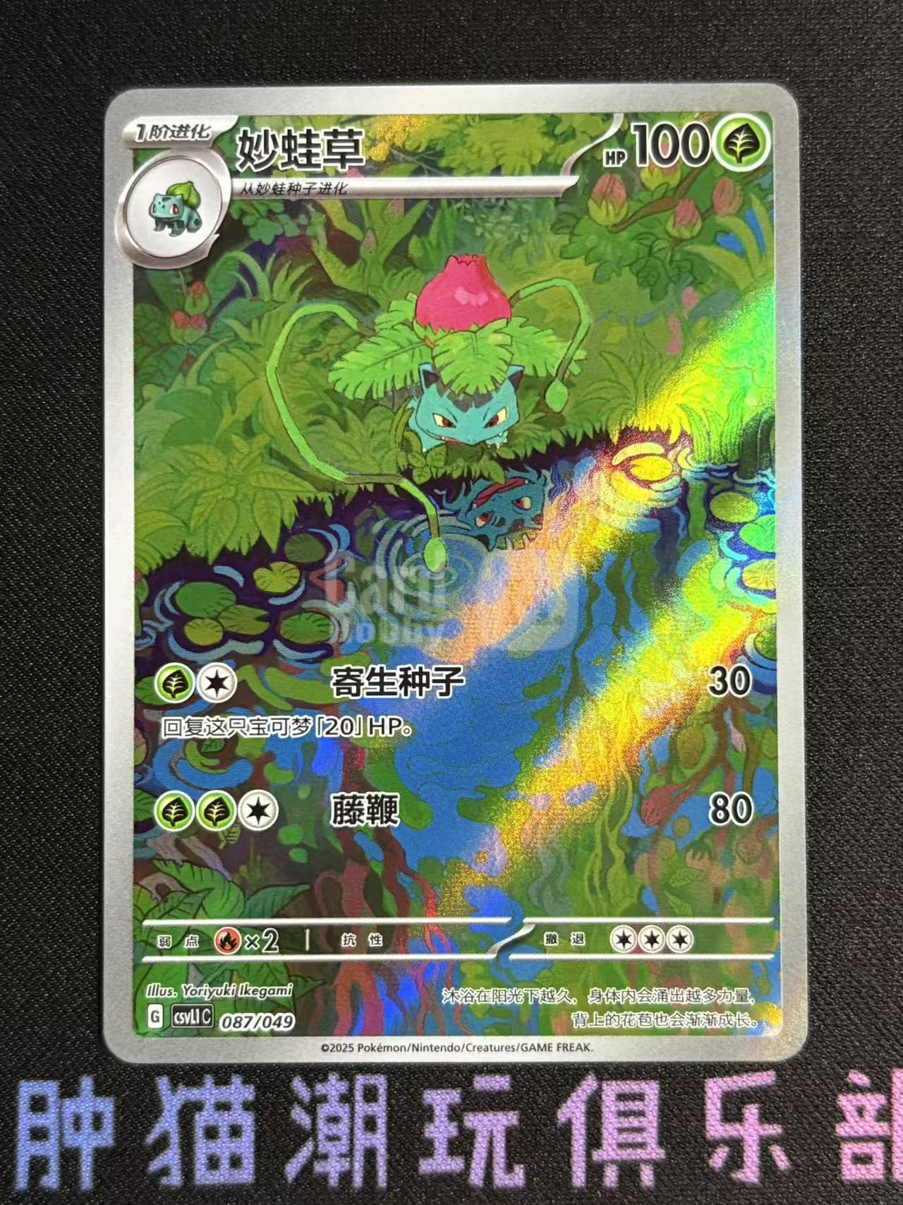 2025 Pokemon TCG csvL1C 妙蛙草 chs 宝可梦 简中 朱紫 csvL1C 087/049 全图 折射 打牌品微瑕如图不累计9108肿猫TCG08BB0016