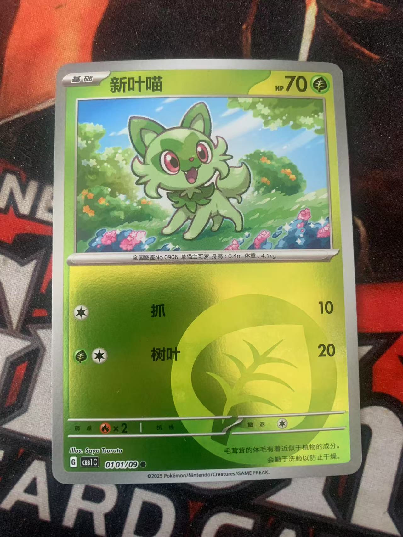 2025 Pokemon TCG 宝石包 Vol.1 新叶喵 球闪 chs 宝可梦 简中 木水拍卖第一百五十八期