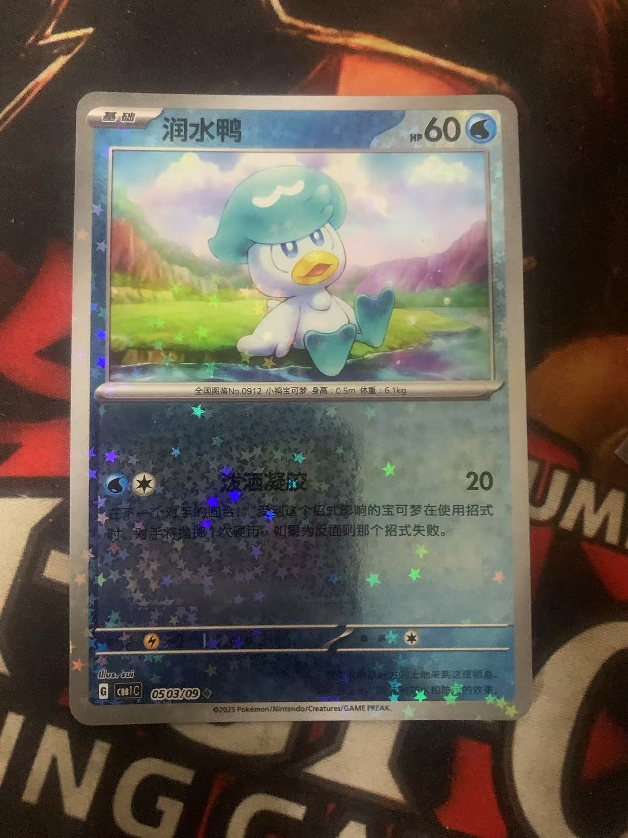 2024 Pokemon TCG 1 润水鸭 星星闪 chs 宝可梦 简中 木水拍卖第一百七十二期