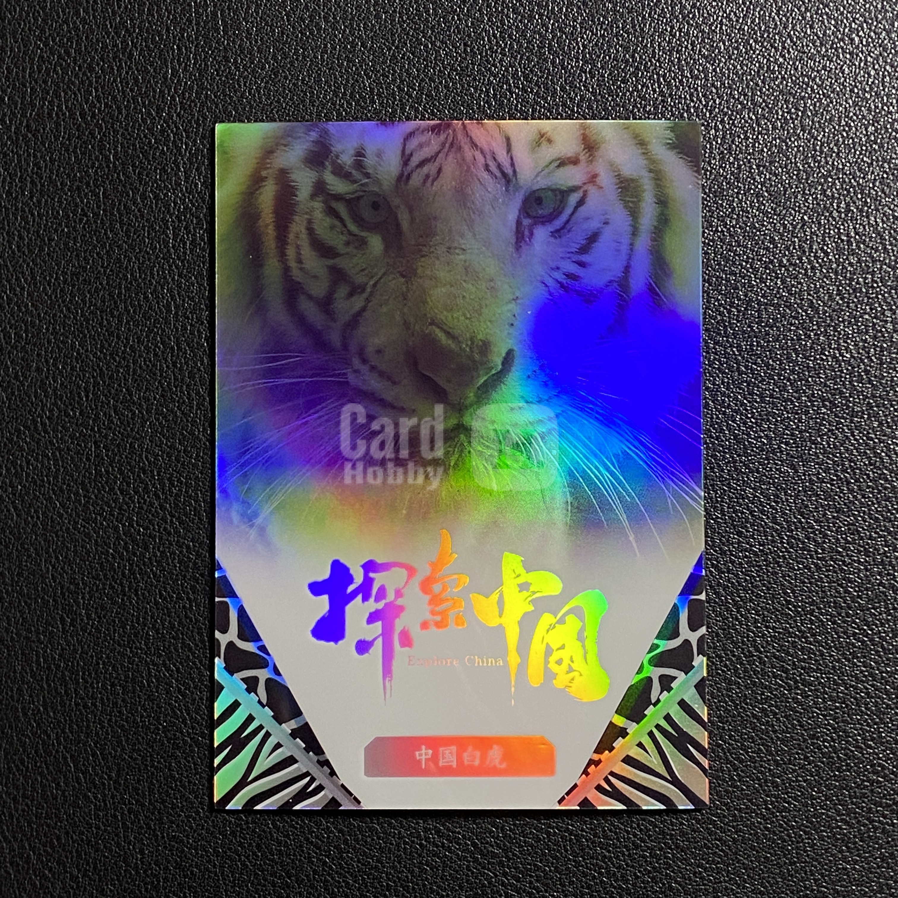 【伦子】2024 探索中国收藏卡 探索中国 银折 中国白虎 折射卡 SAMM-02