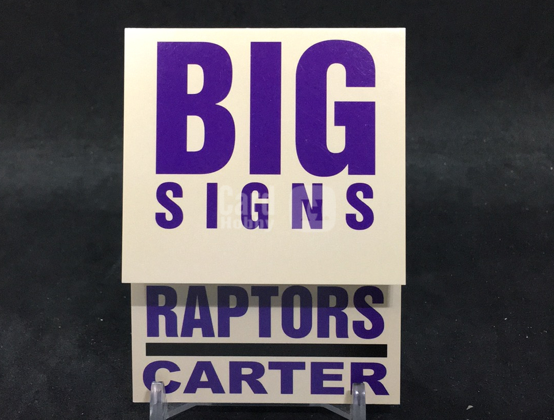【DC拍卖】5.01 2003-04 Fleer Platinum 文斯・卡特 Big Signs 招牌广告牌特卡 多伦多猛龙队 #15 of 15 BS