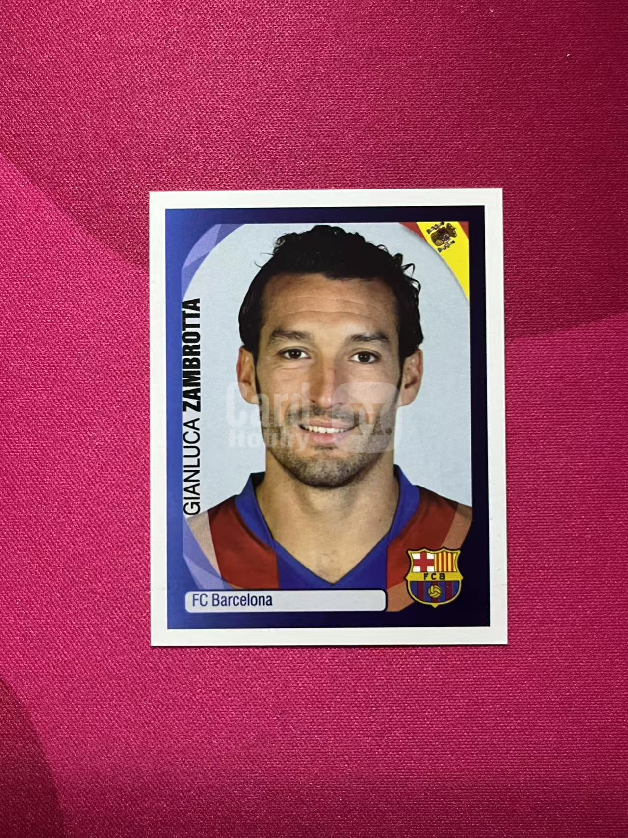 2007 Panini Stickers Gianluca Zambrotta #47 D184