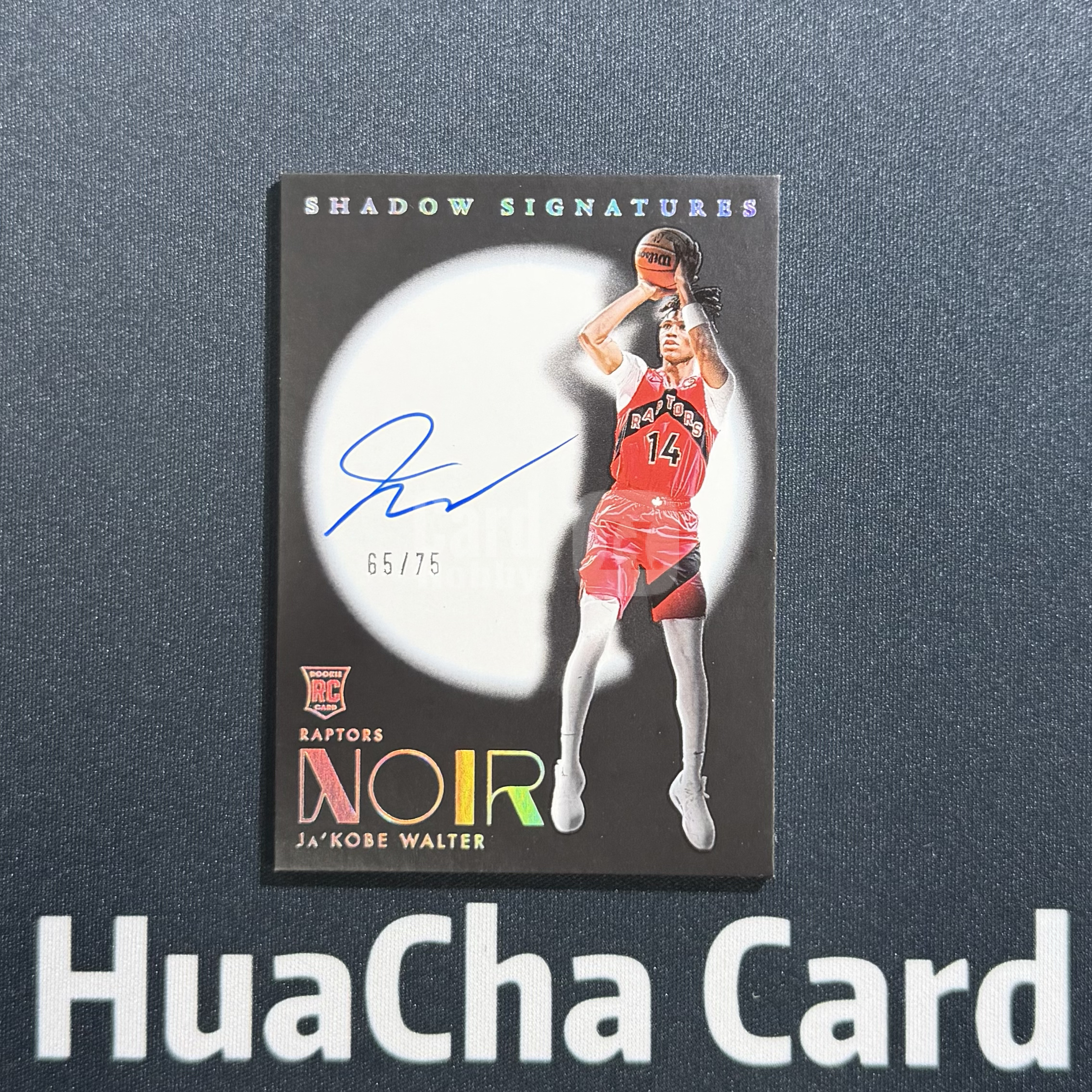 【花茶代卖】2024-25 Panini Noir Ja'Kobe Walter 贾科比沃尔特 猛龙 新秀RC 签字 卡签 影子签 /75编 卡品如图 #A东契奇
