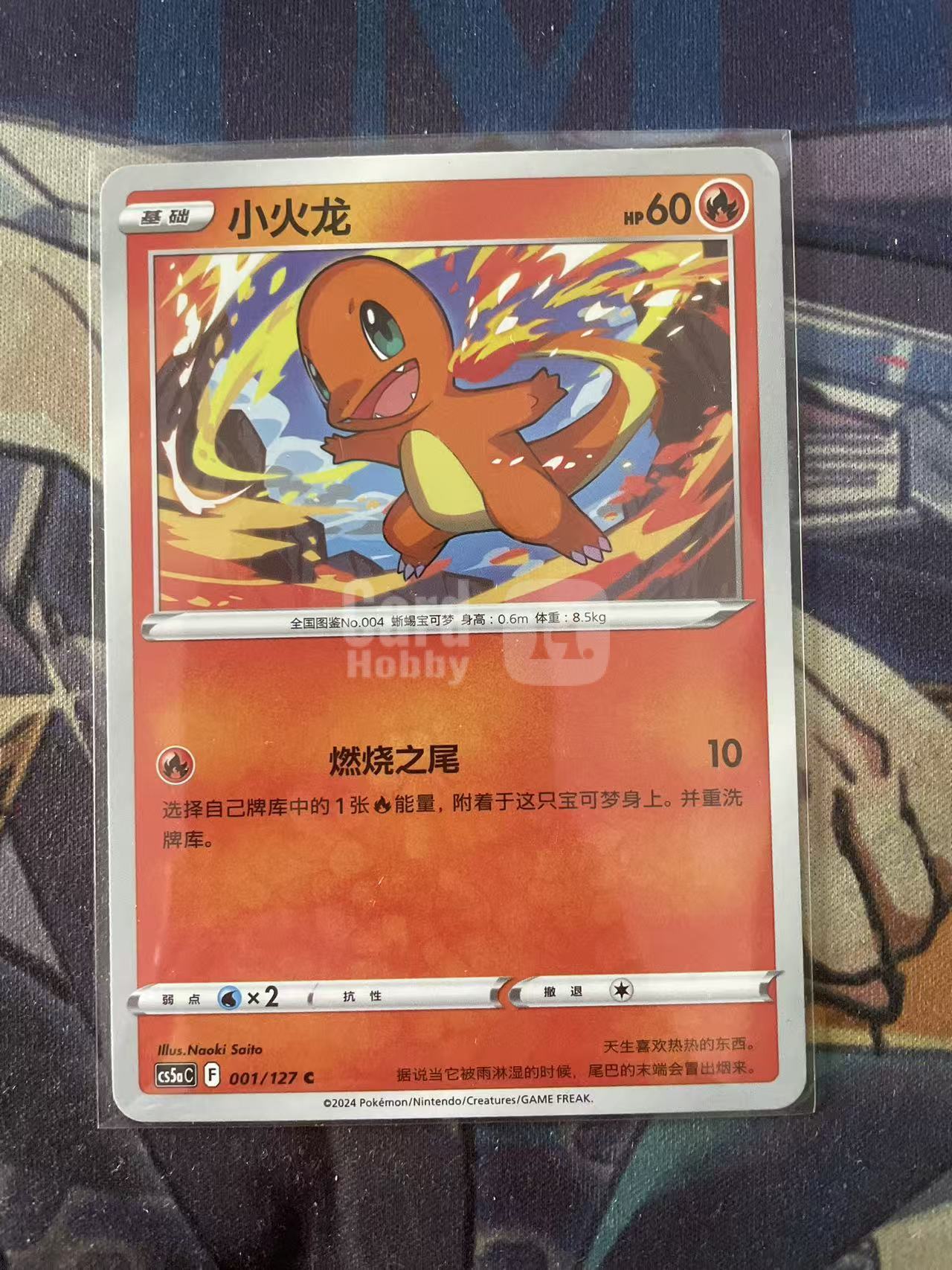 2024 Pokemon TCG 1 小火龙 chs 宝可梦 简中 木水拍卖 93