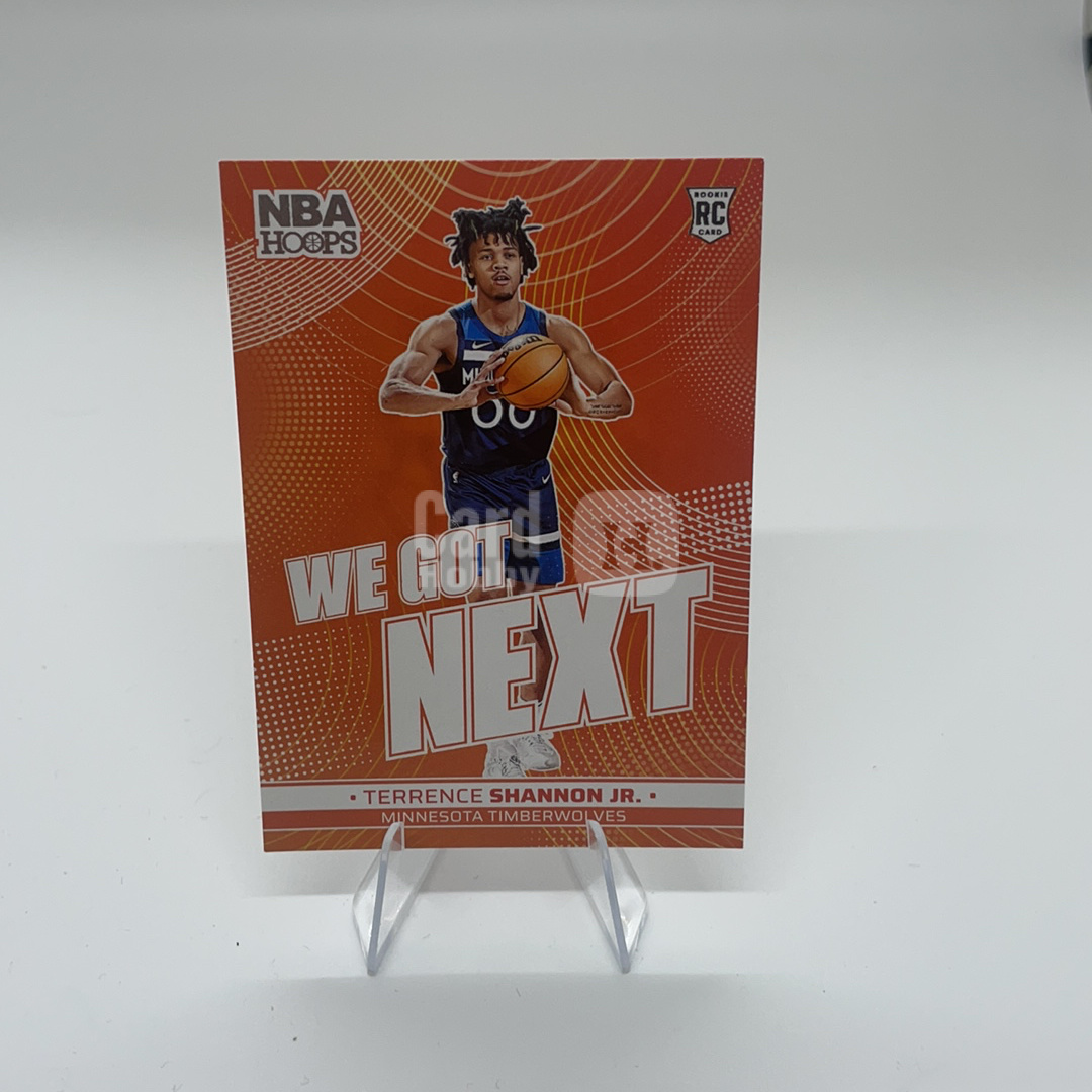 2024-25 Panini NBA Hoops Terrence Shannon Jr. RC 【顺丰速运 只合并不累计】nbahoops 卡品如图 c1