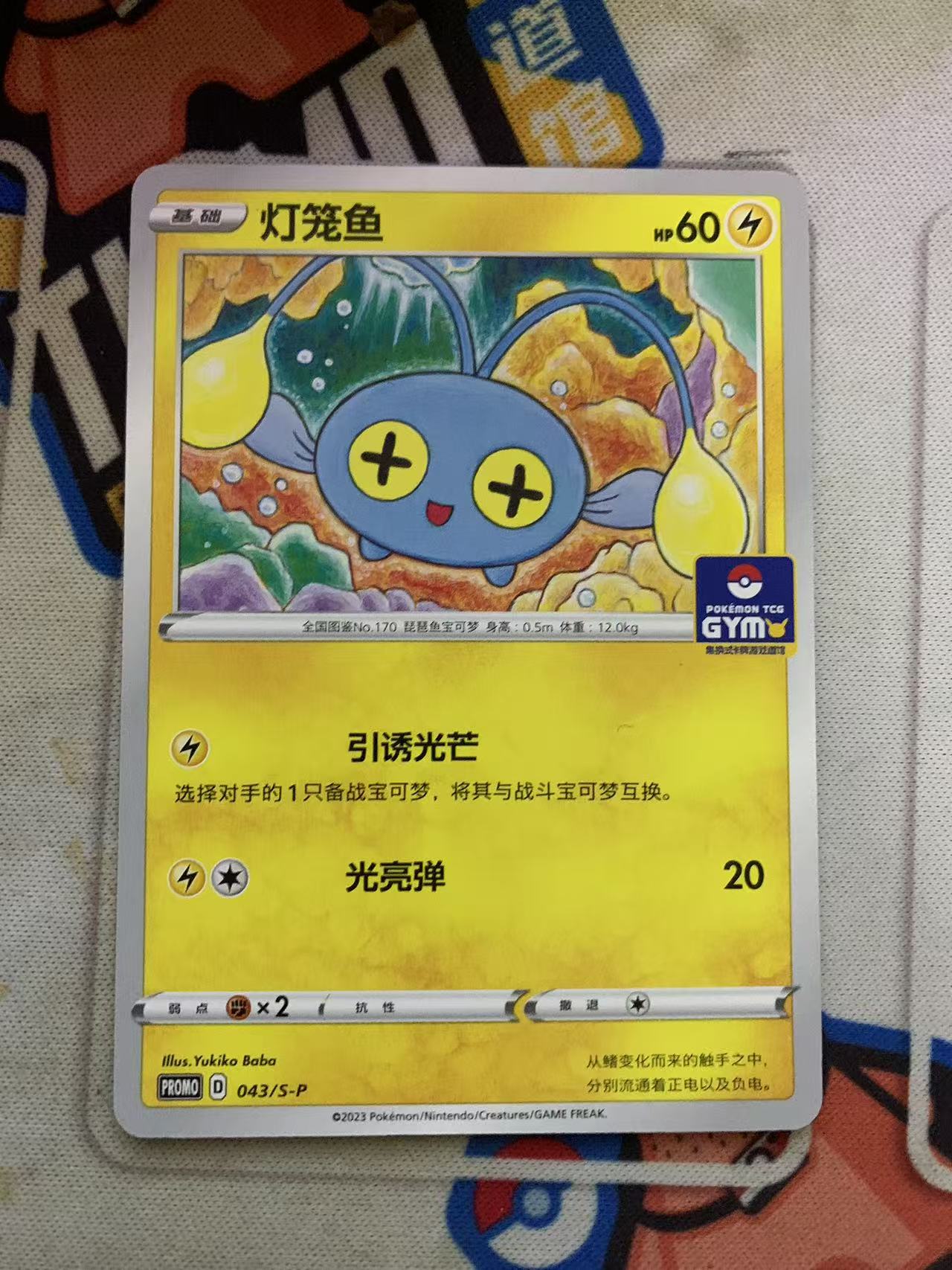 2024 Pokemon TCG 1 灯笼鱼 道馆包 chs 宝可梦 简中 木水拍卖第九十五期
