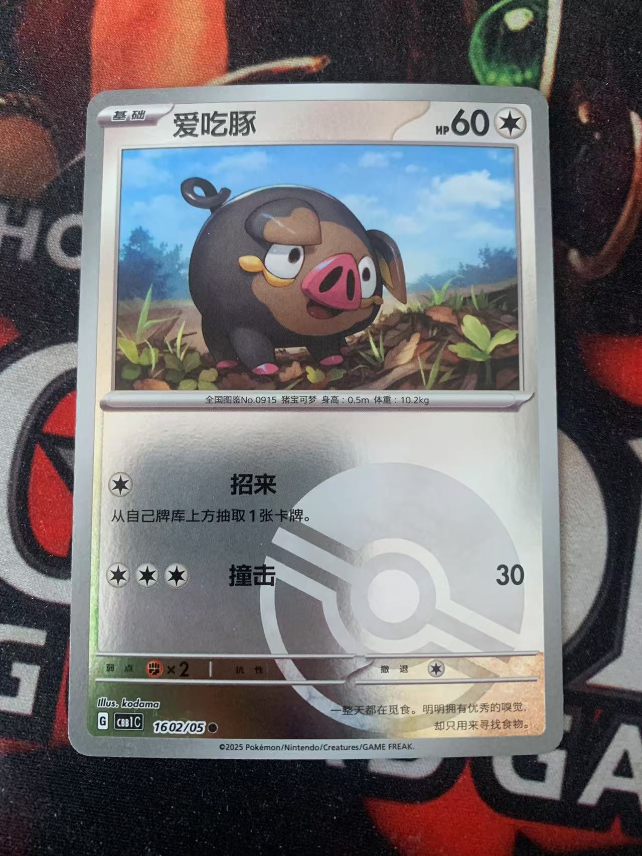 2024 Pokemon TCG 1 爱吃豚 球闪 chs 宝可梦 简中 木水拍卖第一百五十九期