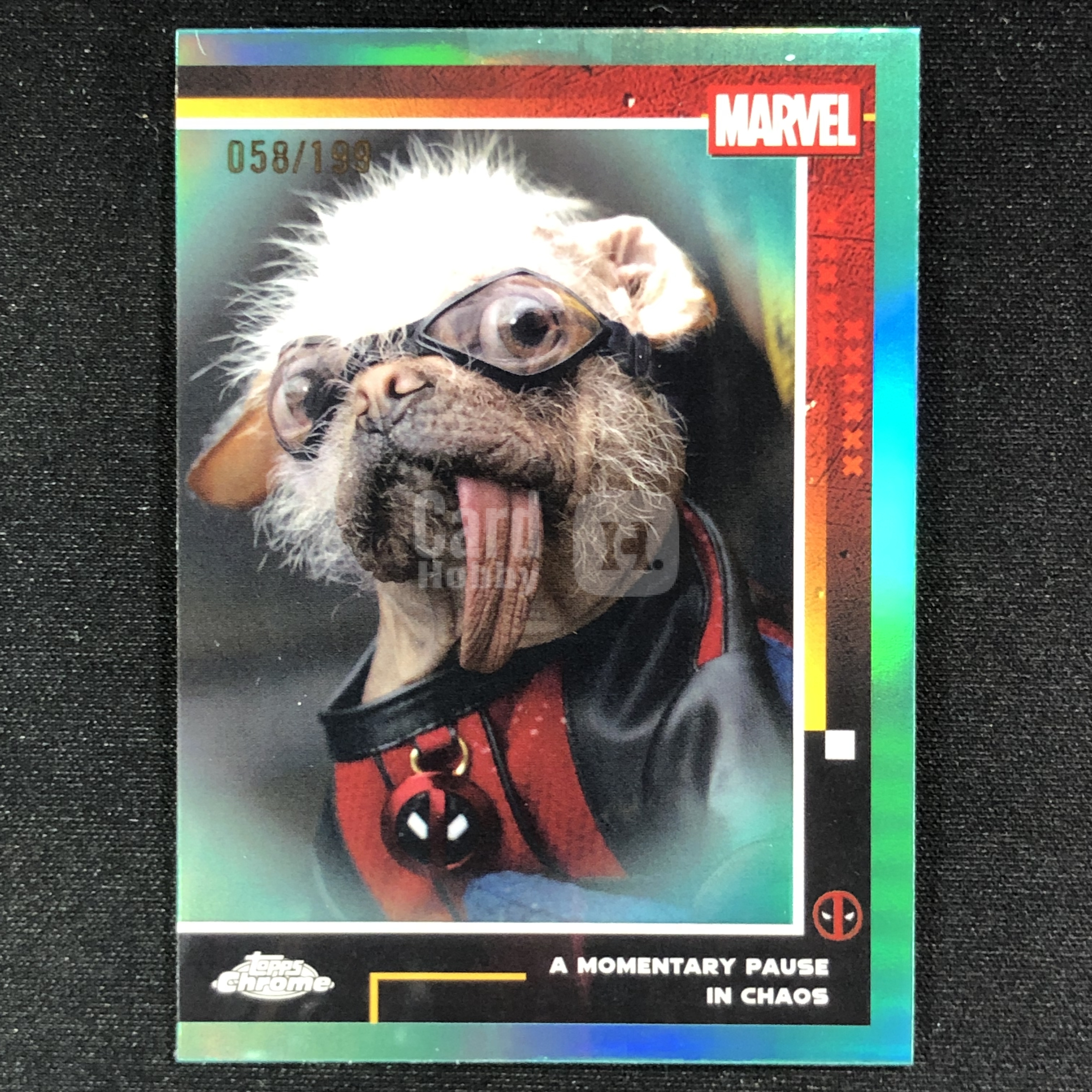 2025 Topps Marvel (MCU) chrome 【piaji】死侍与金刚狼 Dogpool 死侍狗 /199编 青折 base ...