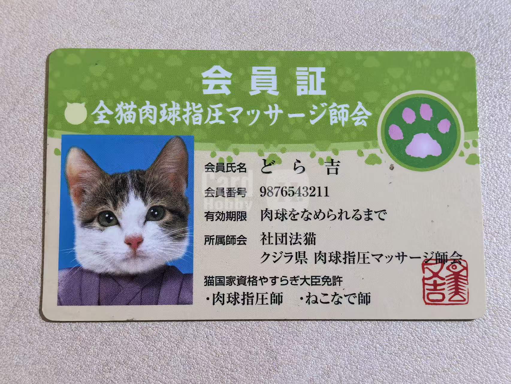SATORU TSUDA 津田悟 日版 “全猫肉球指压按摩师协会” 猫咪会员证 多拉吉 默认有瑕 卡品如图