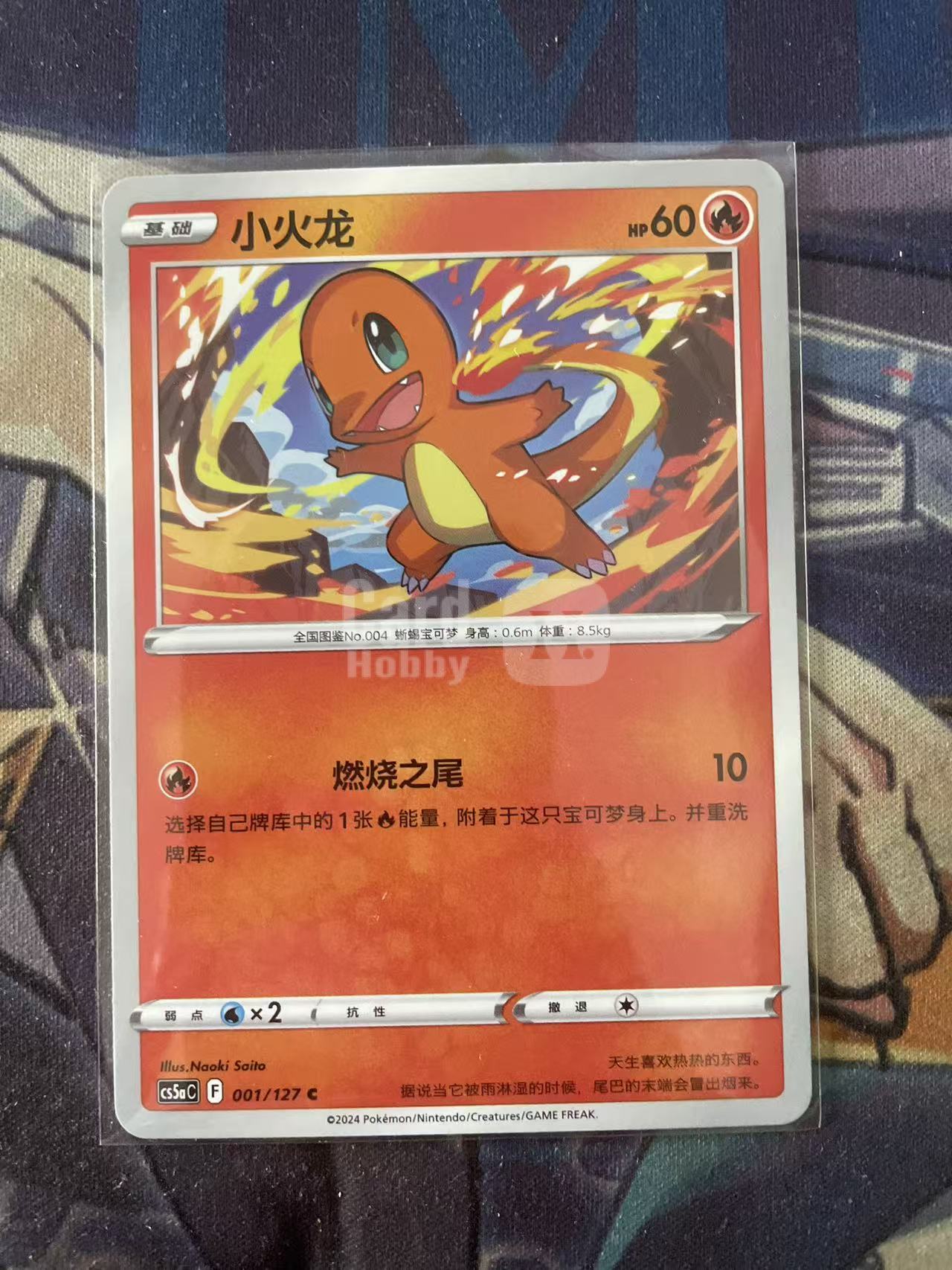 2024 Pokemon TCG 1 小火龙 chs 宝可梦 简中 木水拍卖 93