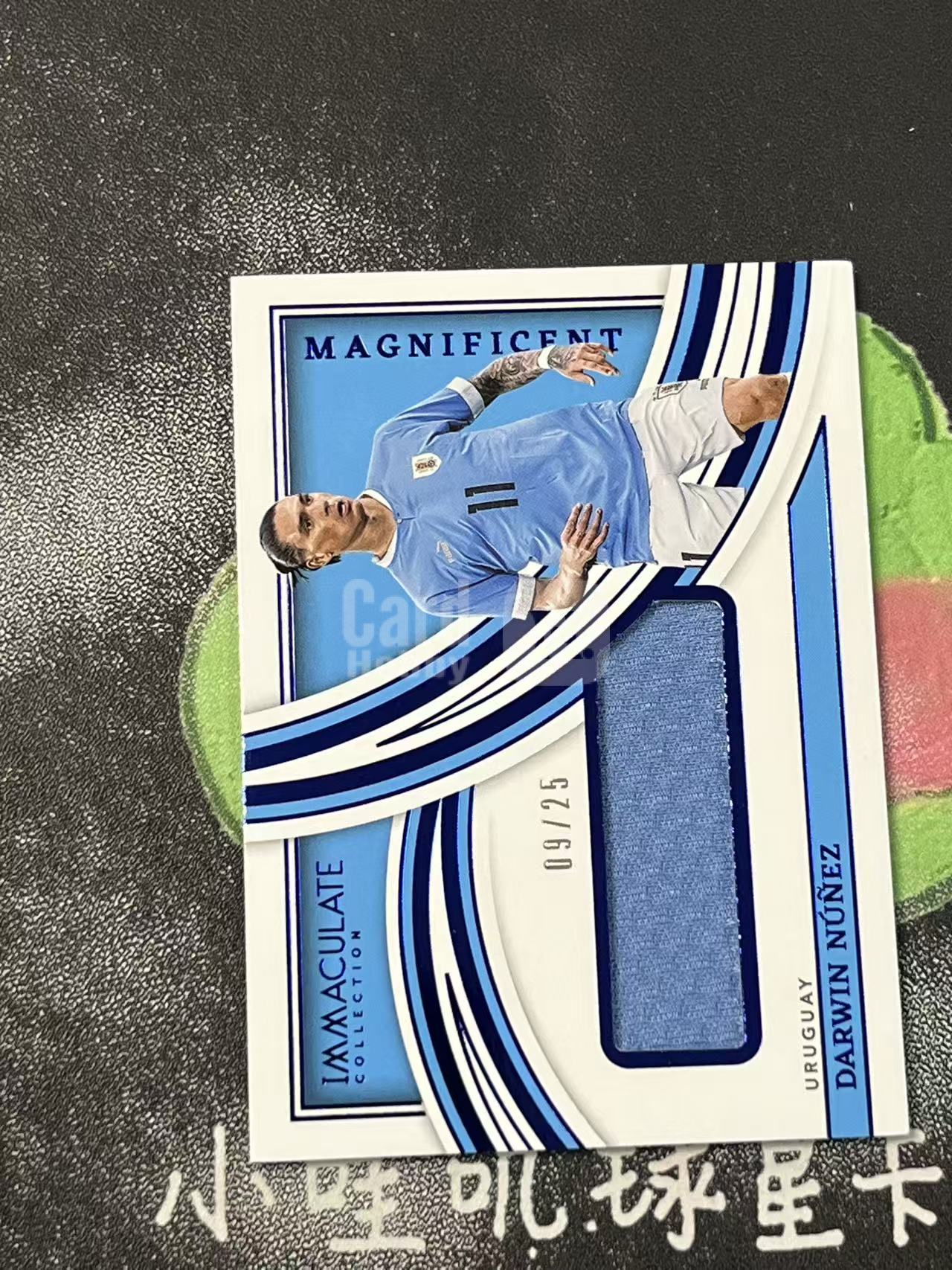 2022-23 Panini Immaculate Darwin Nunez 爱咪咪 乌拉圭 达尔文 努涅斯 25编 物料 球衣 微瑕如图【ZYP代拍】望灯