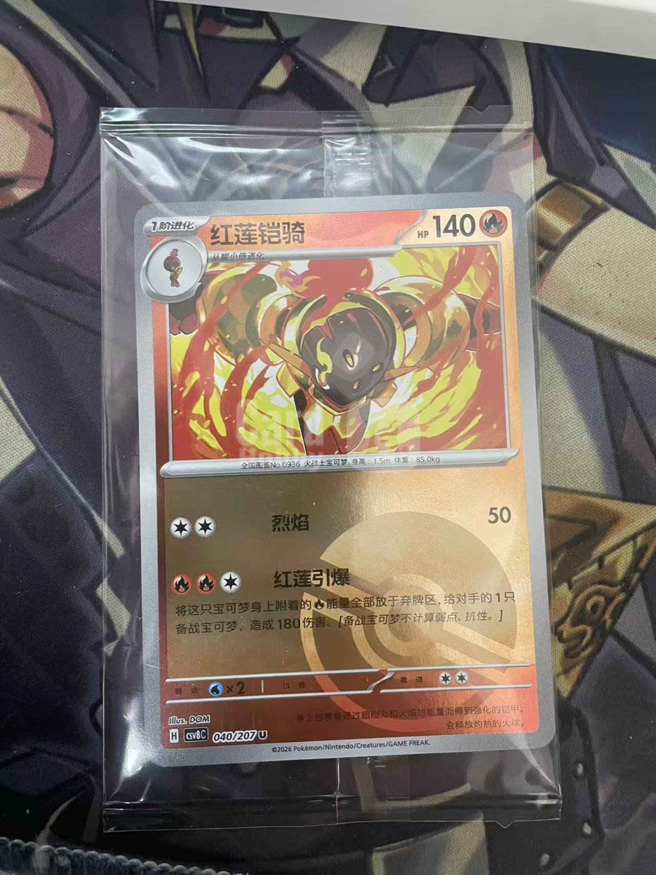 2025 Pokemon TCG 1 红莲凯奇 硬币包 原封袋 chs 宝可梦 简中 木水拍卖 184