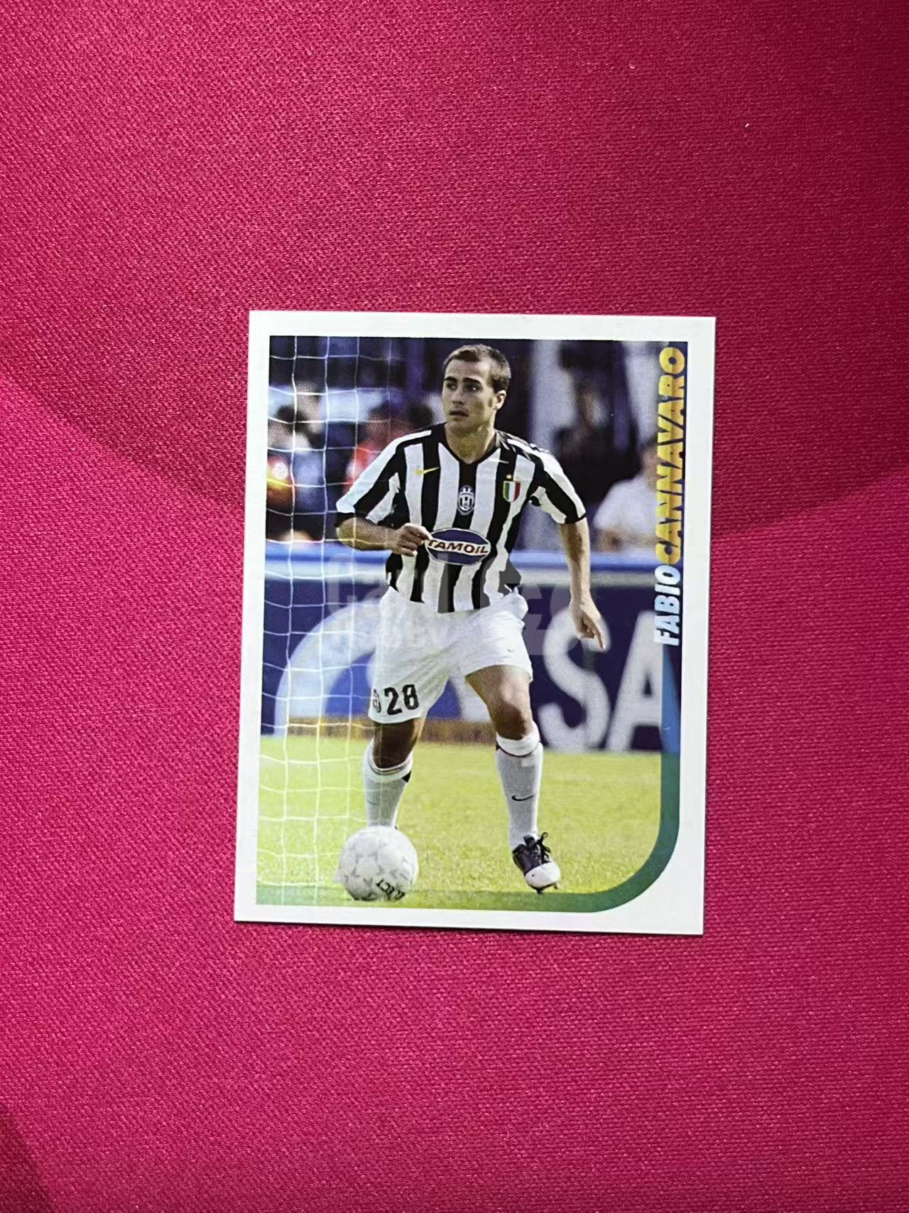 2005-06 Panini Calciatori Fabio Cannavaro #764 D182