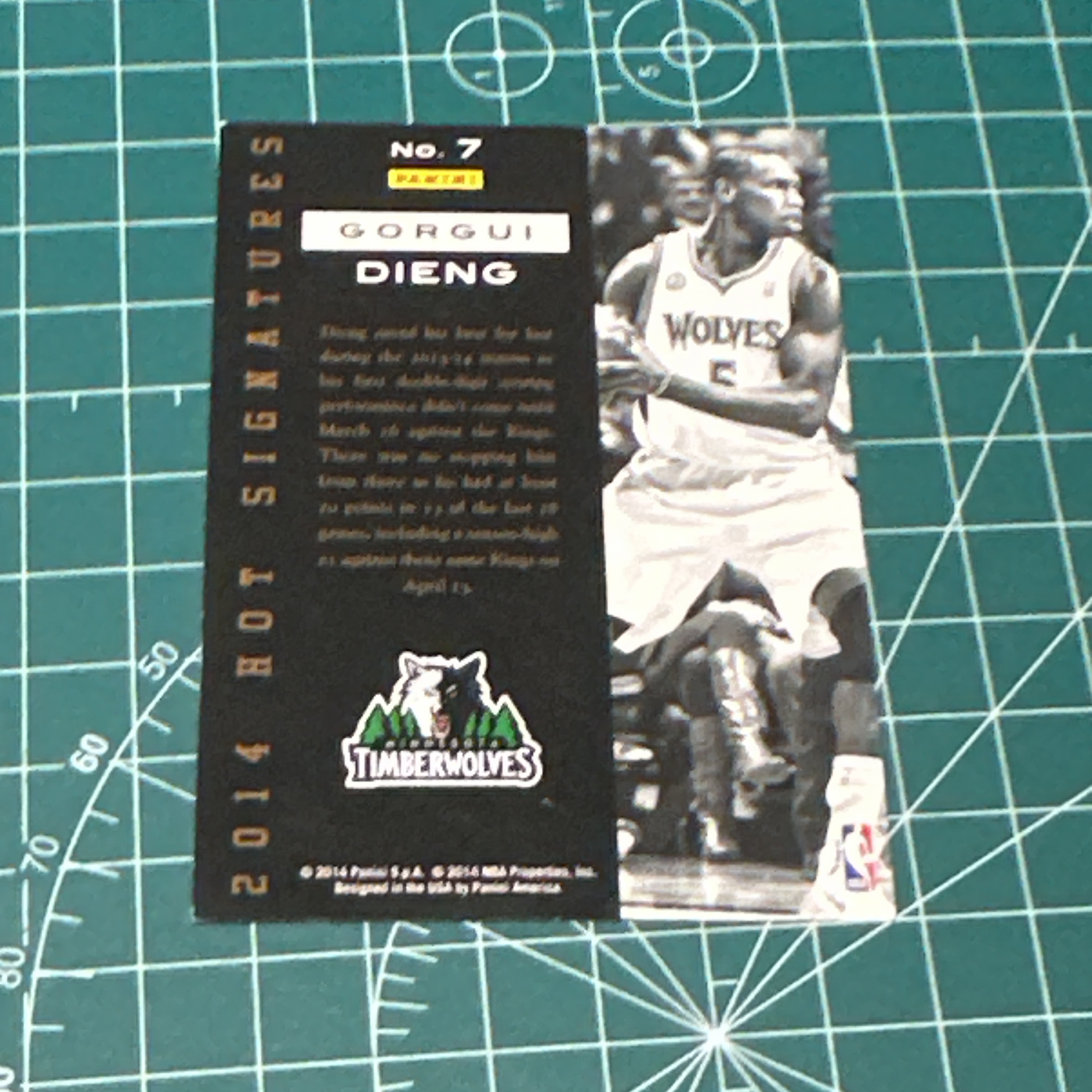 2014-15 Panini S.p.A Gorgui Dieng 中雅图/中亚图 戈尔吉吉昂 金签卡 签名 签字 金色印签 特卡 老卡 绝版卡 稀有大比例