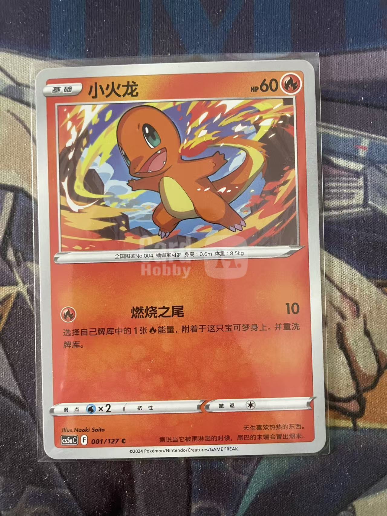 2024 Pokemon TCG 1 小火龙 chs 宝可梦 简中 木水拍卖 93