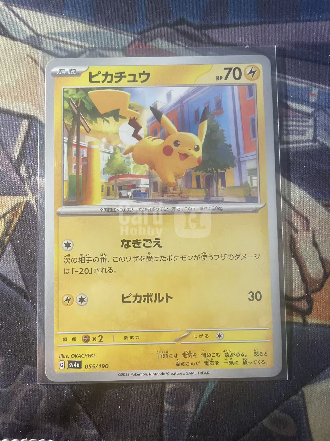 2025 Pokemon TCG 1 皮卡丘 ja 宝可梦 日文 日版 木水拍卖 爱国者
