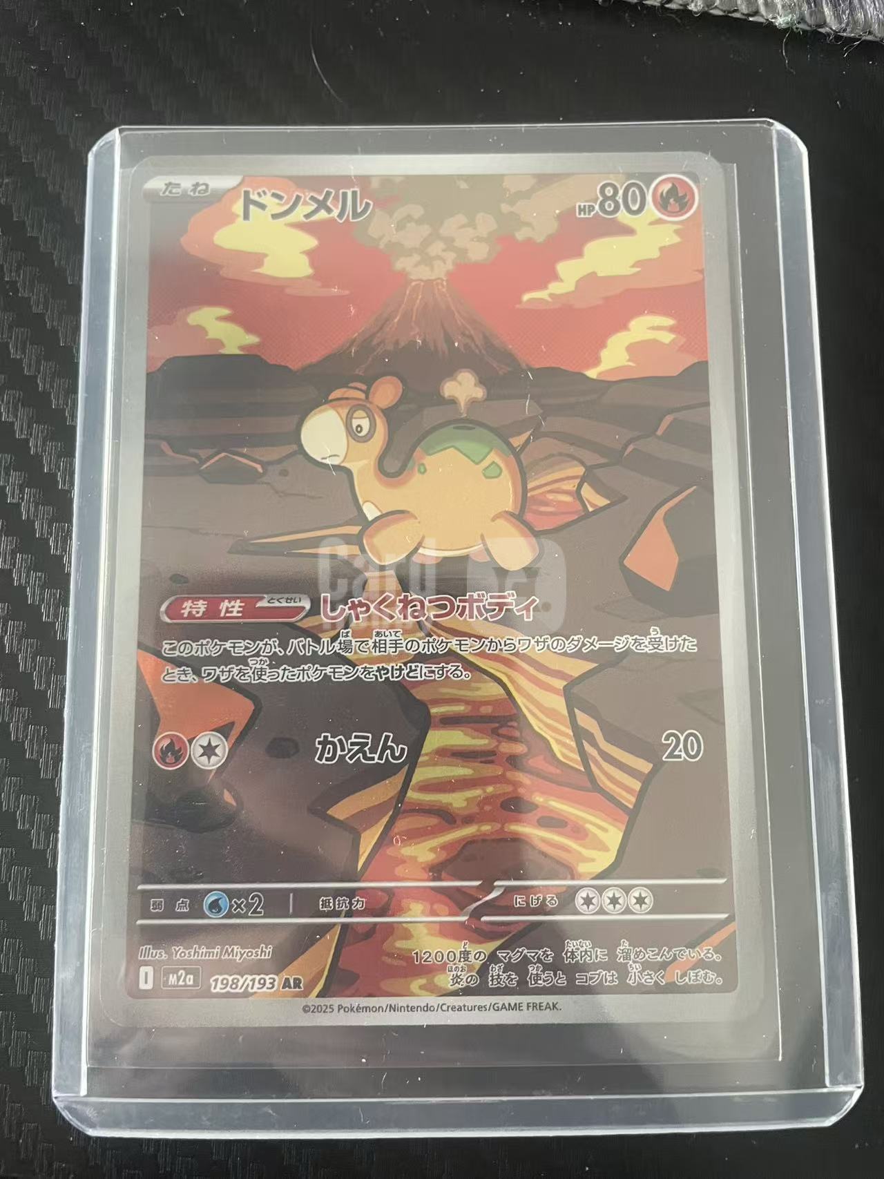 2026 Pokemon TCG 超级梦想ex 呆火驼 AR ja 宝可梦 日文 日版 日文 日版 木水拍卖 魔多哥