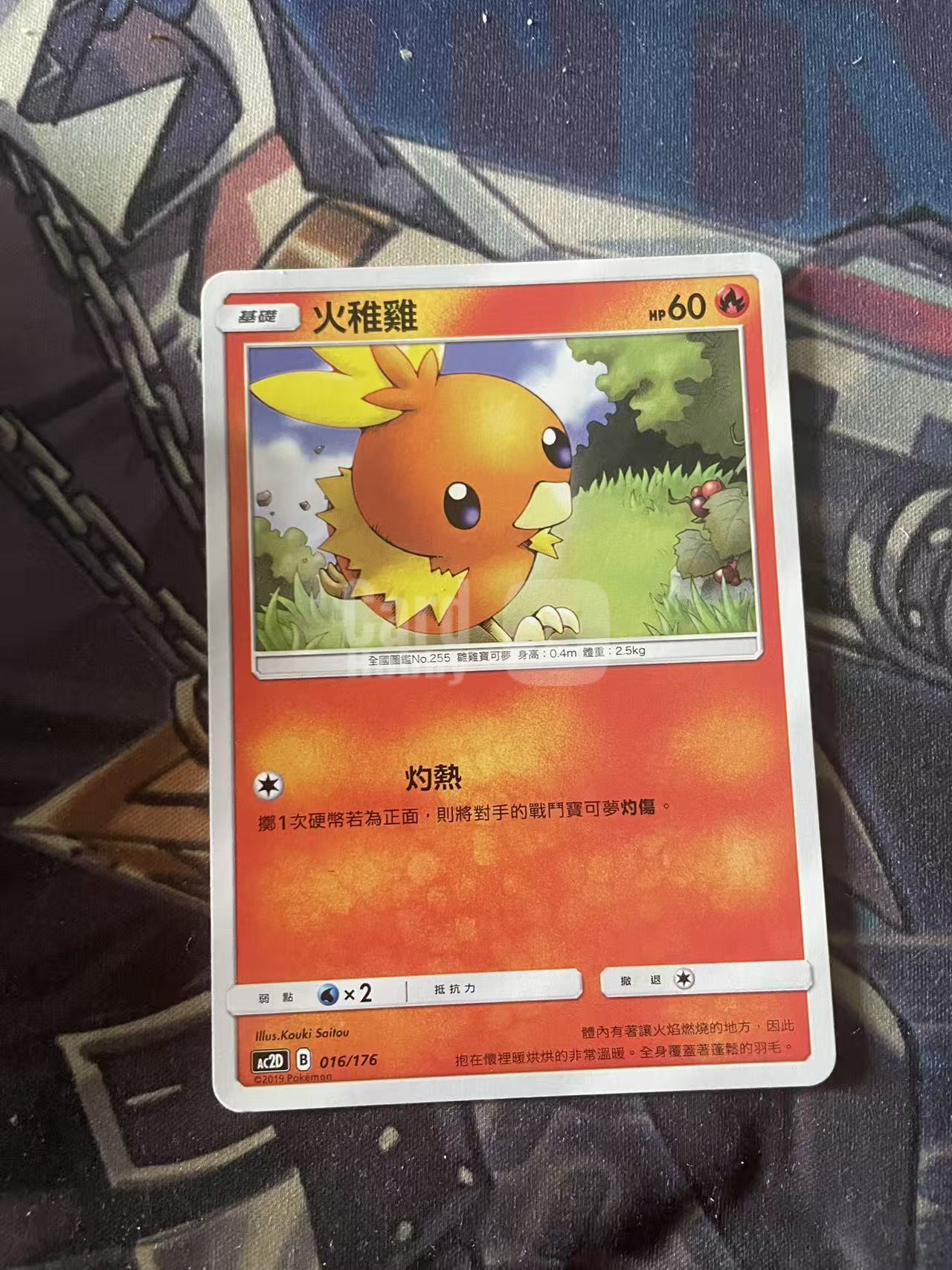 2024 Pokemon TCG 1 火智鸡 chs 宝可梦 简中 木水拍卖 204