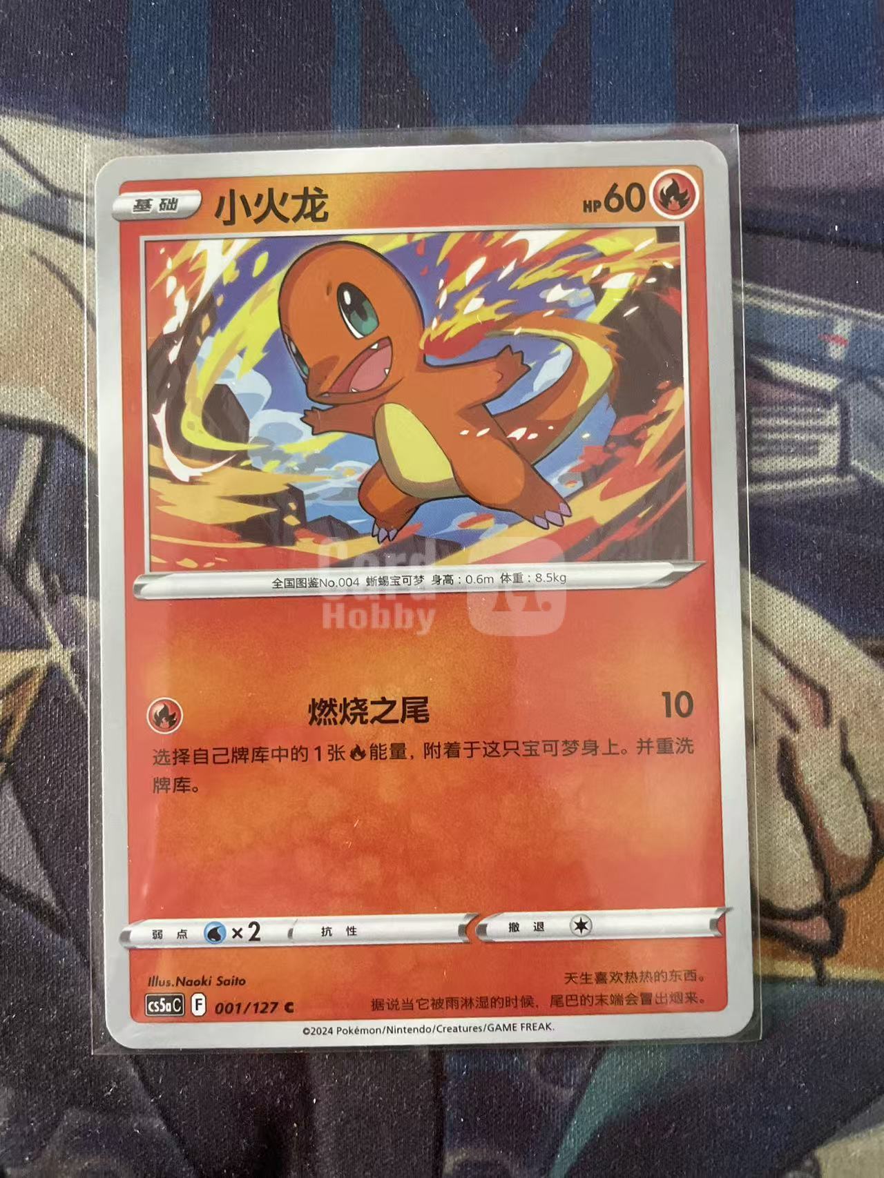 2024 Pokemon TCG 1 小火龙 chs 宝可梦 简中 木水拍卖 93