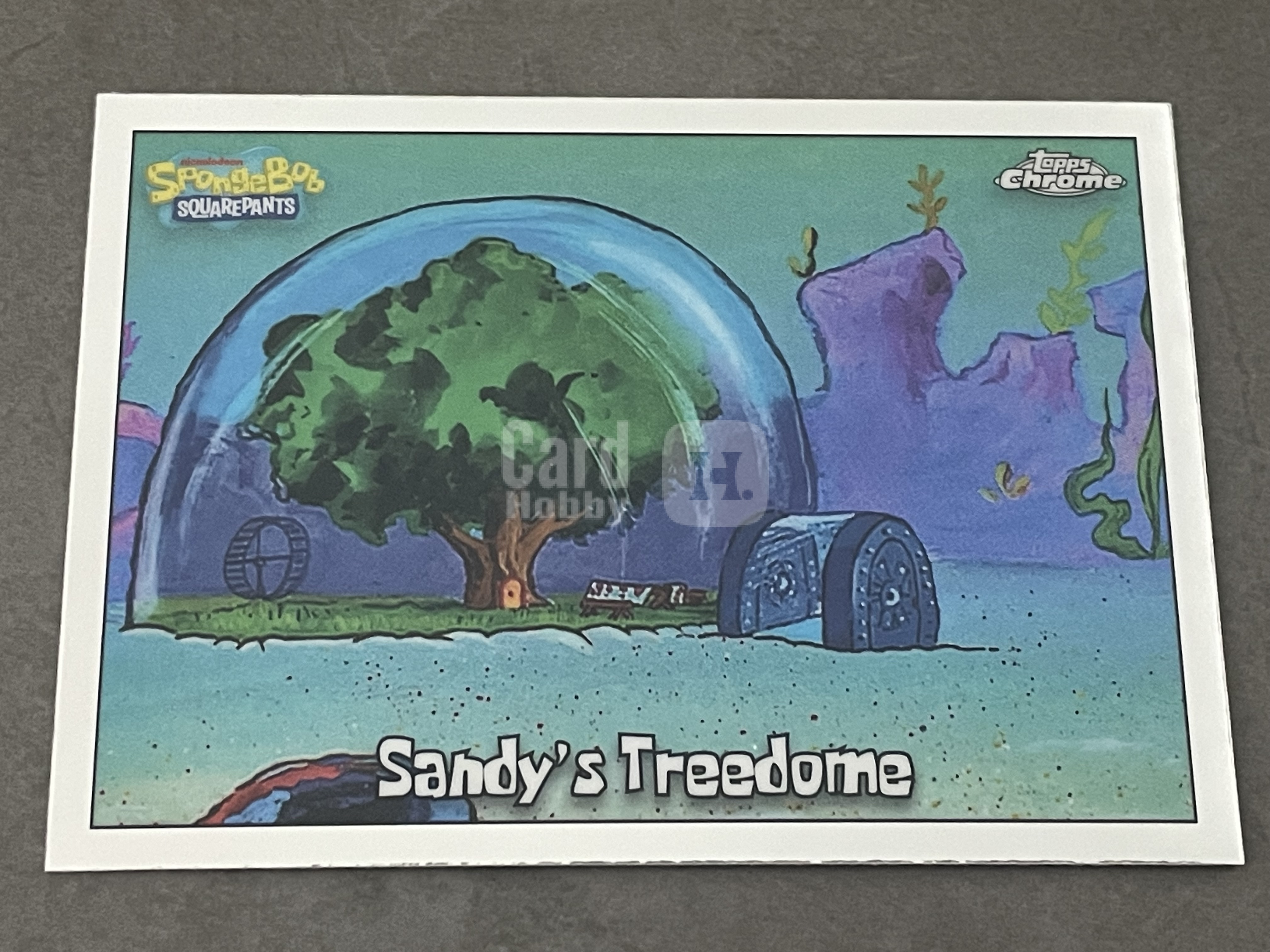 (A13) 2025 Topps Chrome 海绵宝宝25周年 BASE  珊迪的树屋穹顶    收藏凑套必备 卡品如图 ！！！