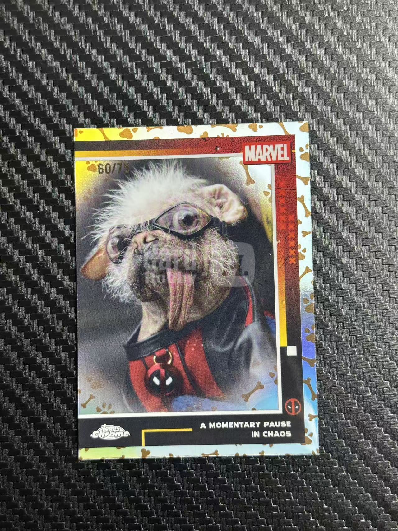 2025 Topps Chrome DOGPOOL MARVEL 漫威TC 死侍与金刚狼 狗死侍 75编 银狗狗折 银折 卡品如图 拍前看描述 ...