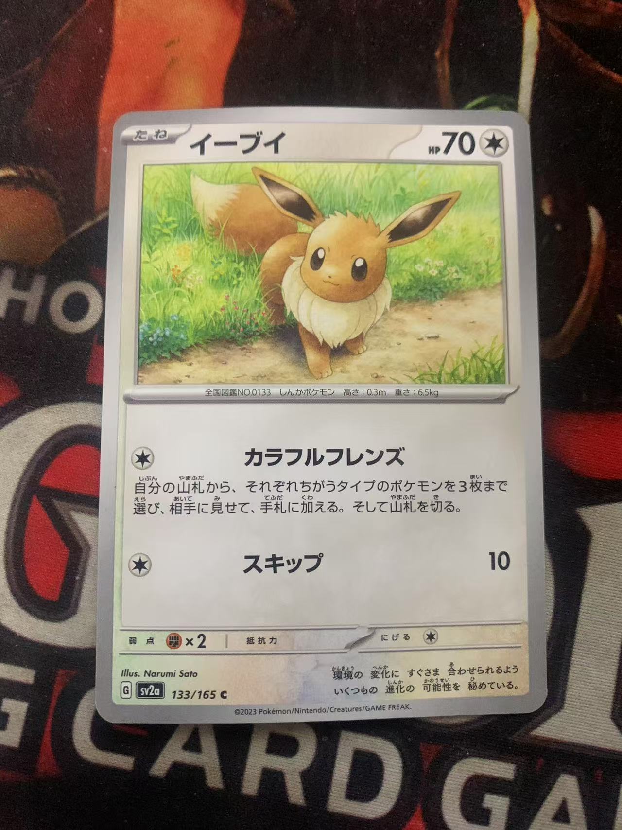2024 Pokemon TCG 1 伊布 ja 宝可梦 日文 日版 木水拍卖第一百七十三期